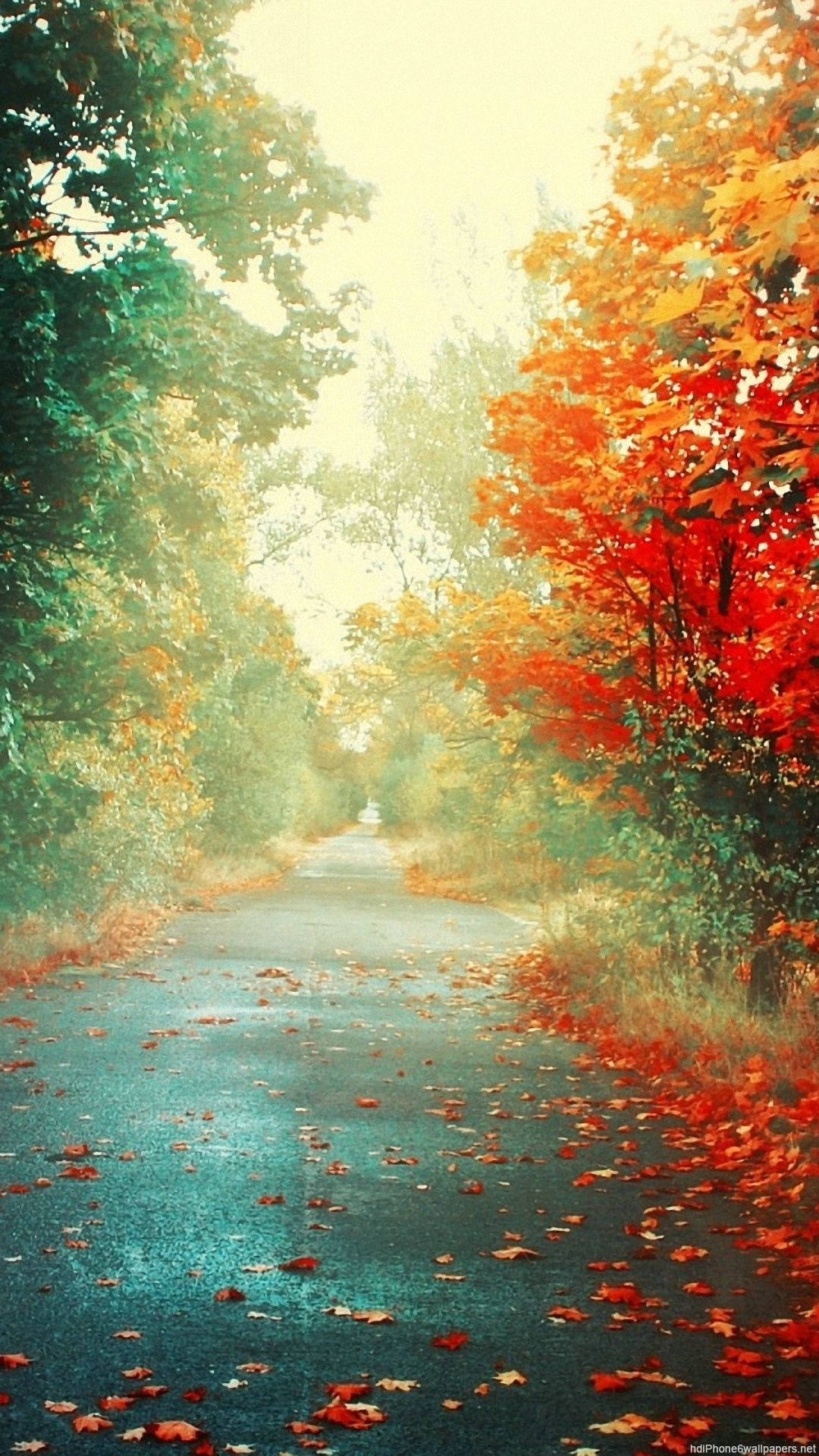 vertical colored trees, autumn woods, vibrant red, Full HD Phone Wallpaper