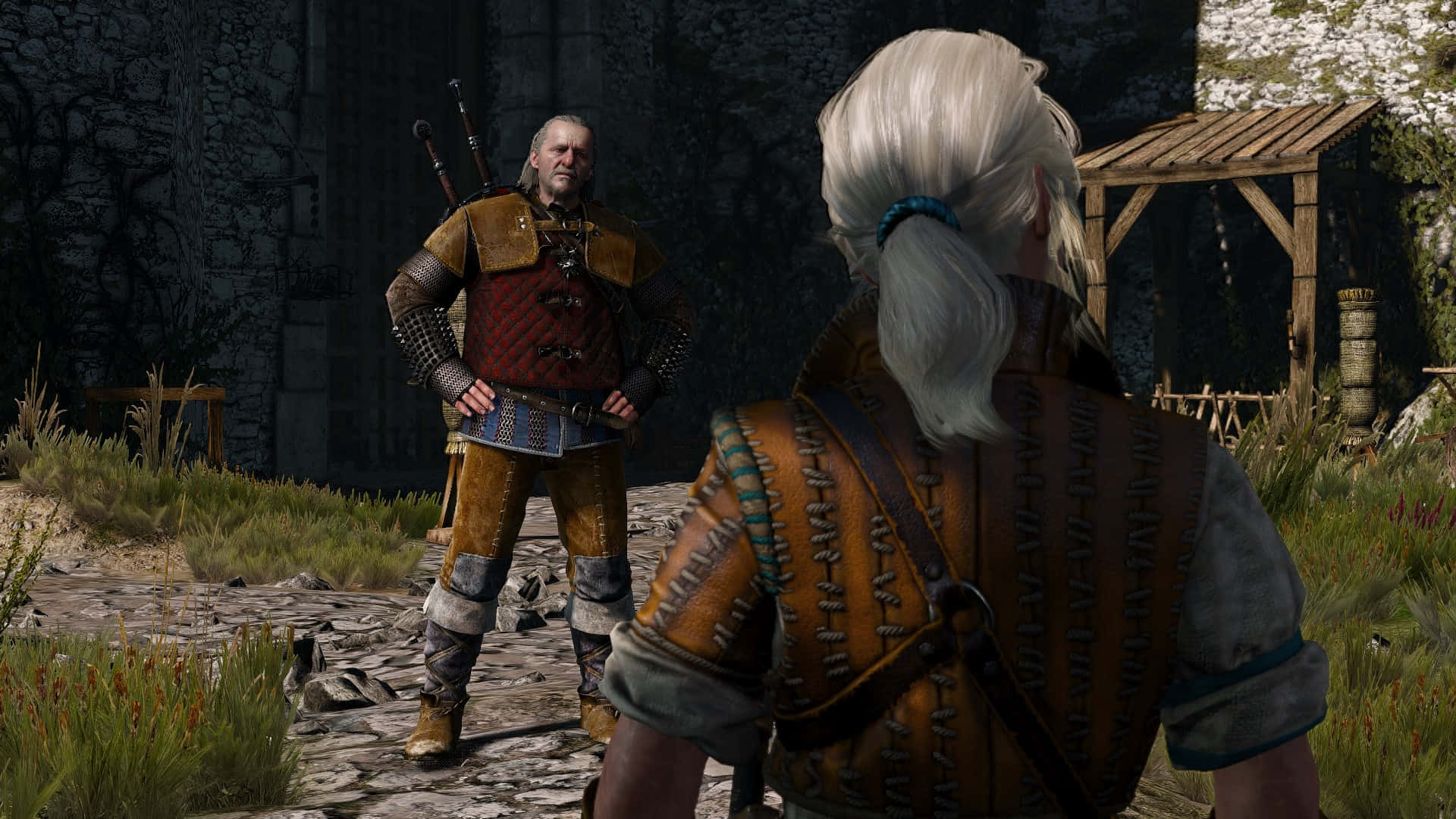 Vesemir, witcher, battle, Full HD Desktop Wallpaper