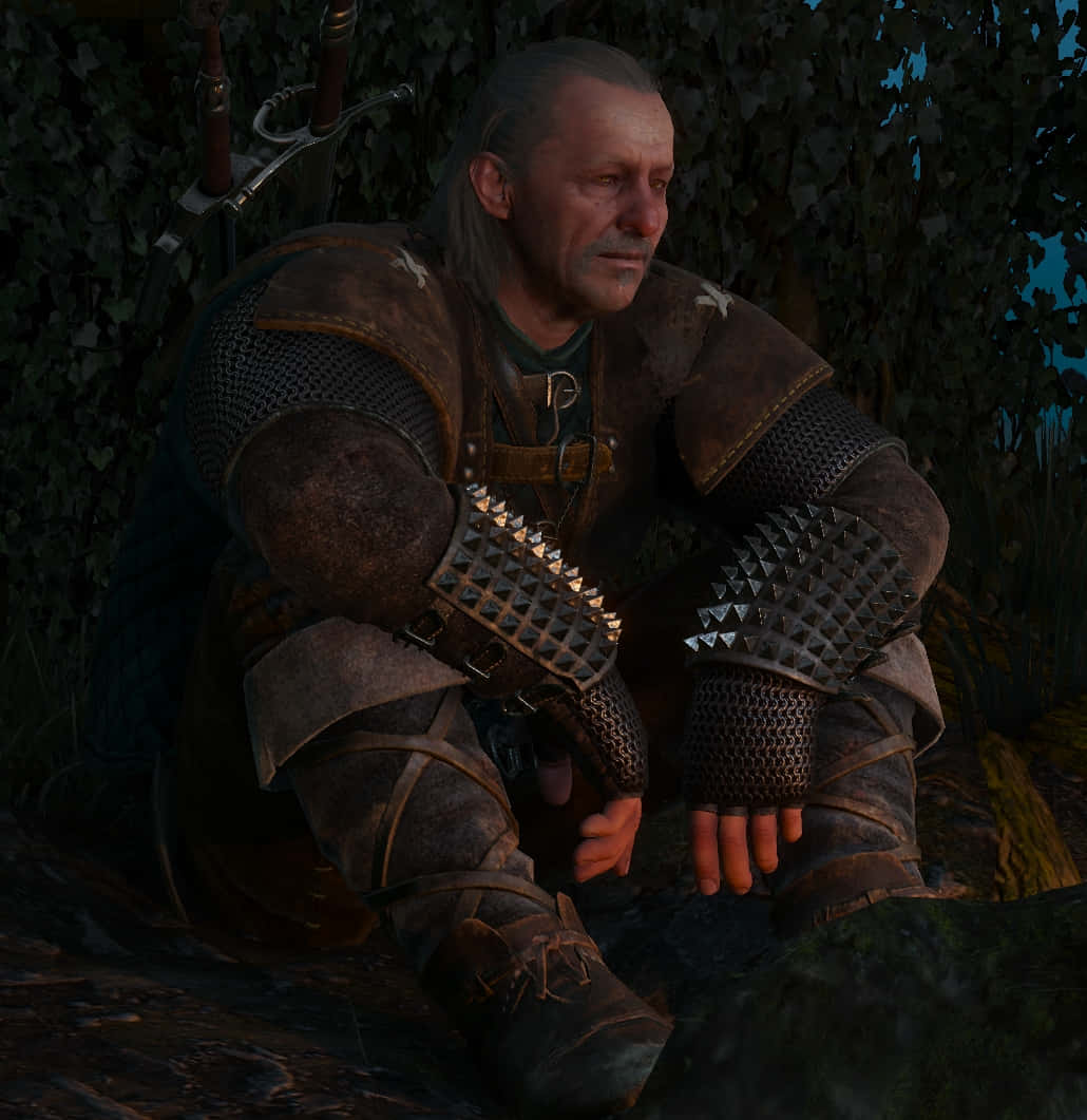 Vesemir, witcher, twilight, SD Phone Wallpaper