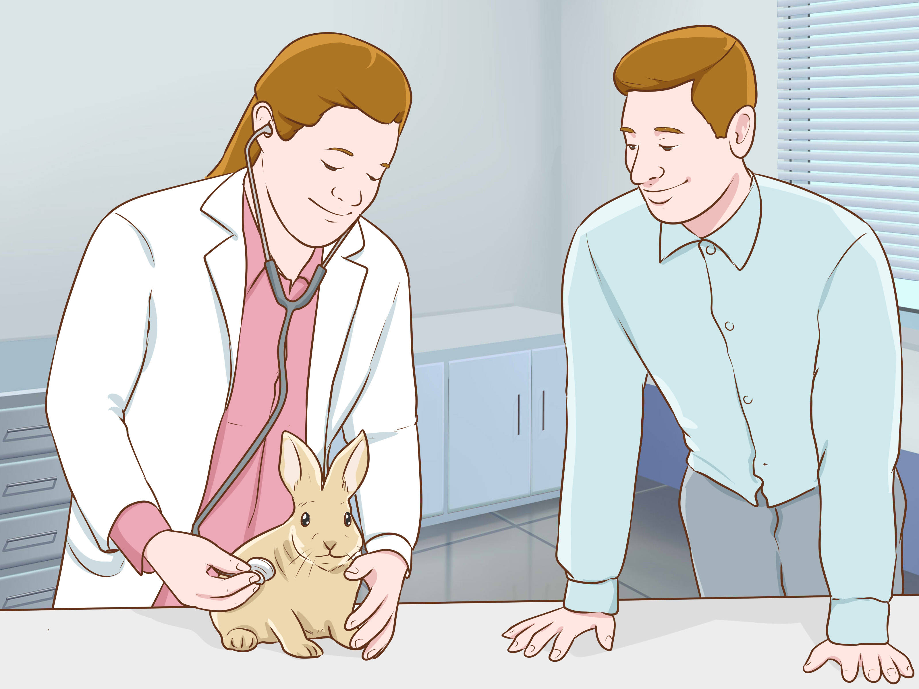 veterinarian, white coat, stethoscope, 2K Desktop Wallpaper