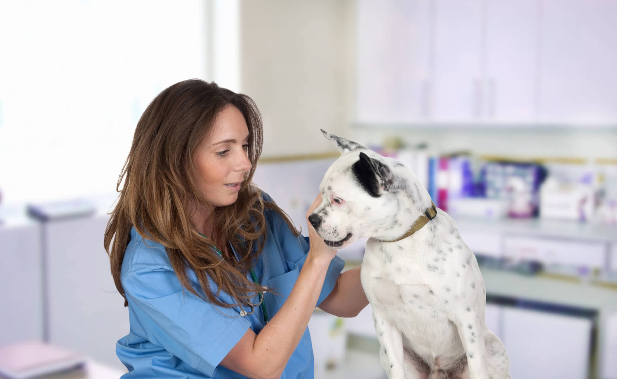 female veterinarian, blue scrubs, white spotted dog, Full HD Desktop Wallpaper