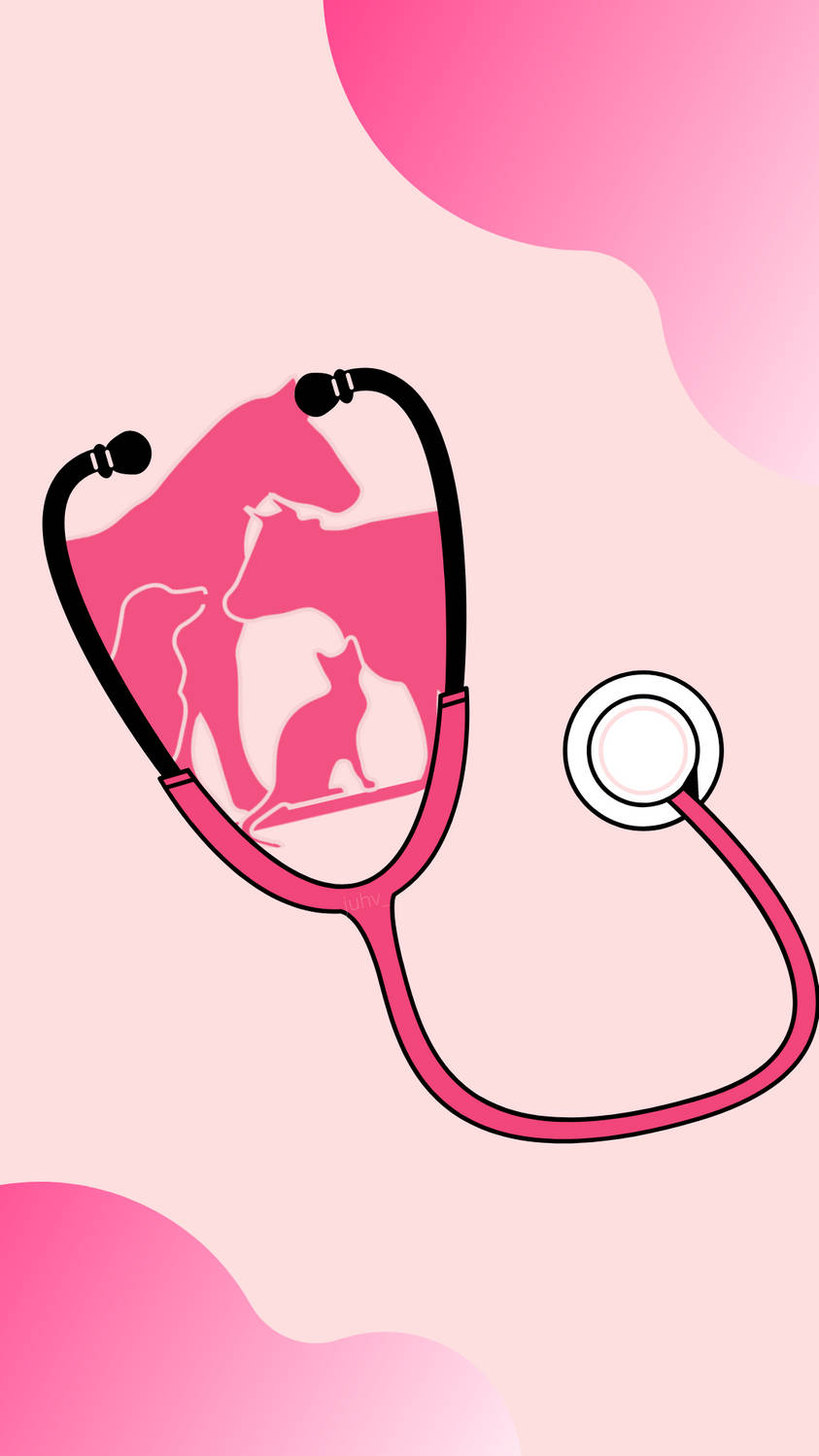 pink stethoscope, horse, dog, HD Phone Wallpaper