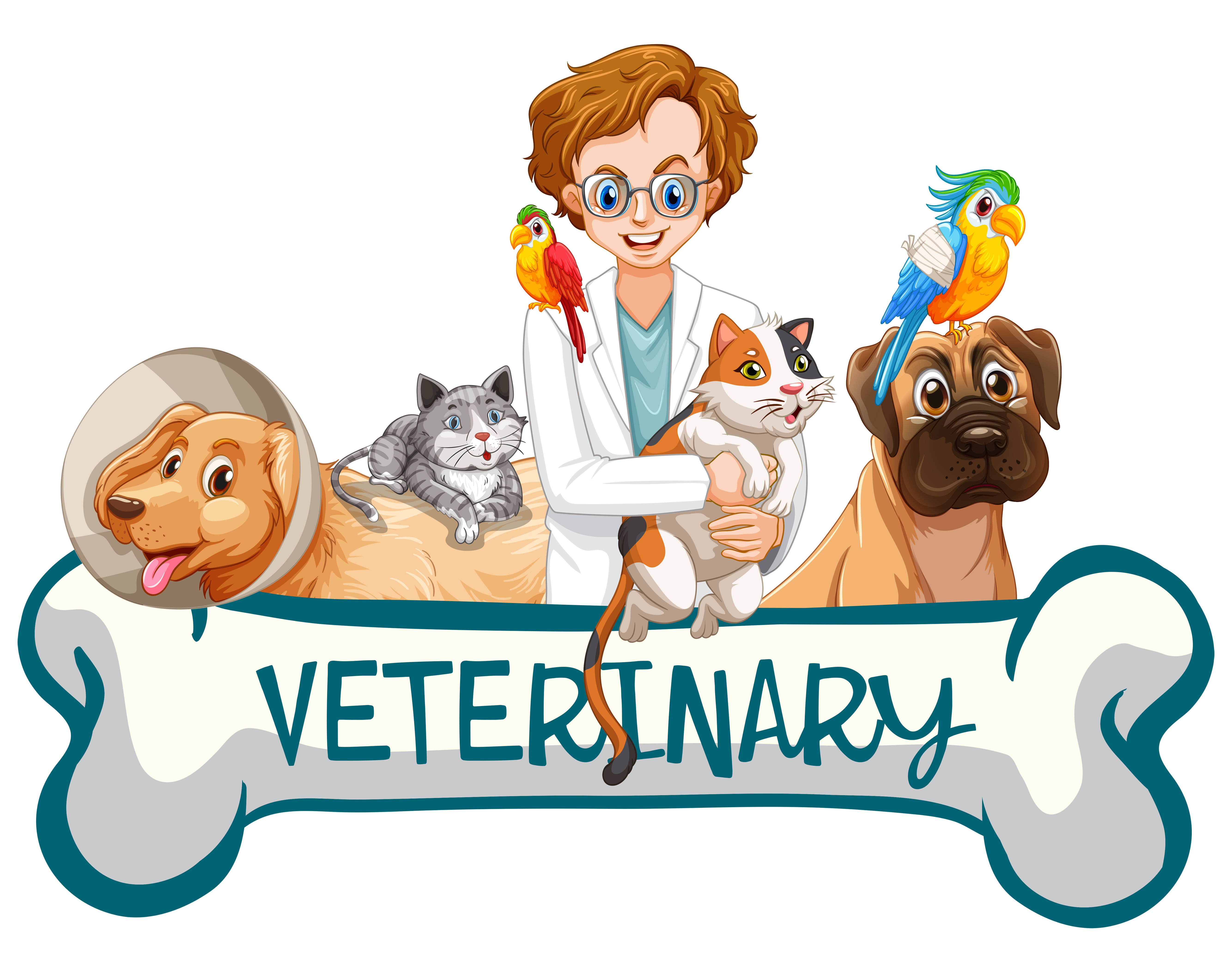 white coat, cat, dogs, 5K Desktop Wallpaper