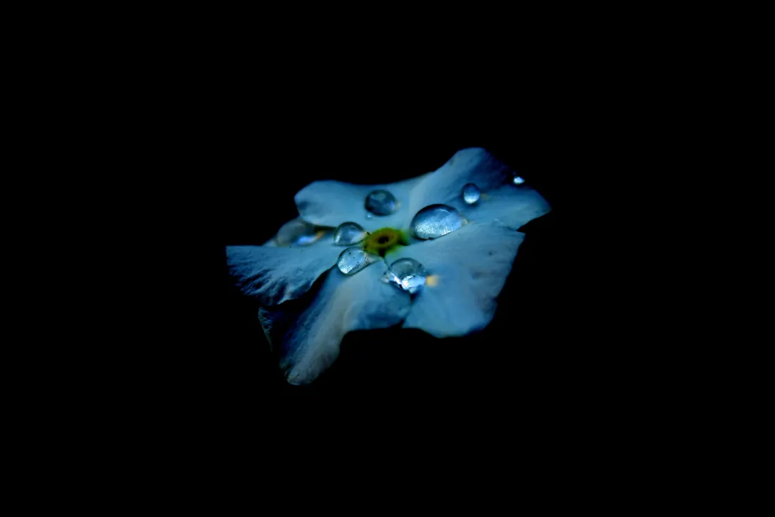 Vibrant Super AMOLED