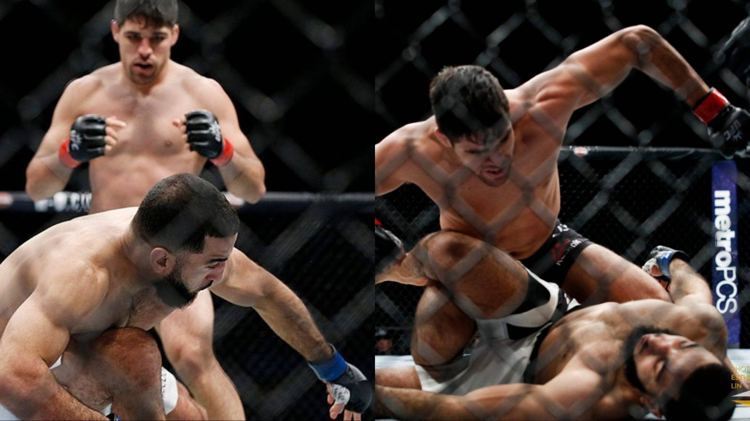 Vicente Luque, MMA fighters, octagon, 2K Desktop Wallpaper