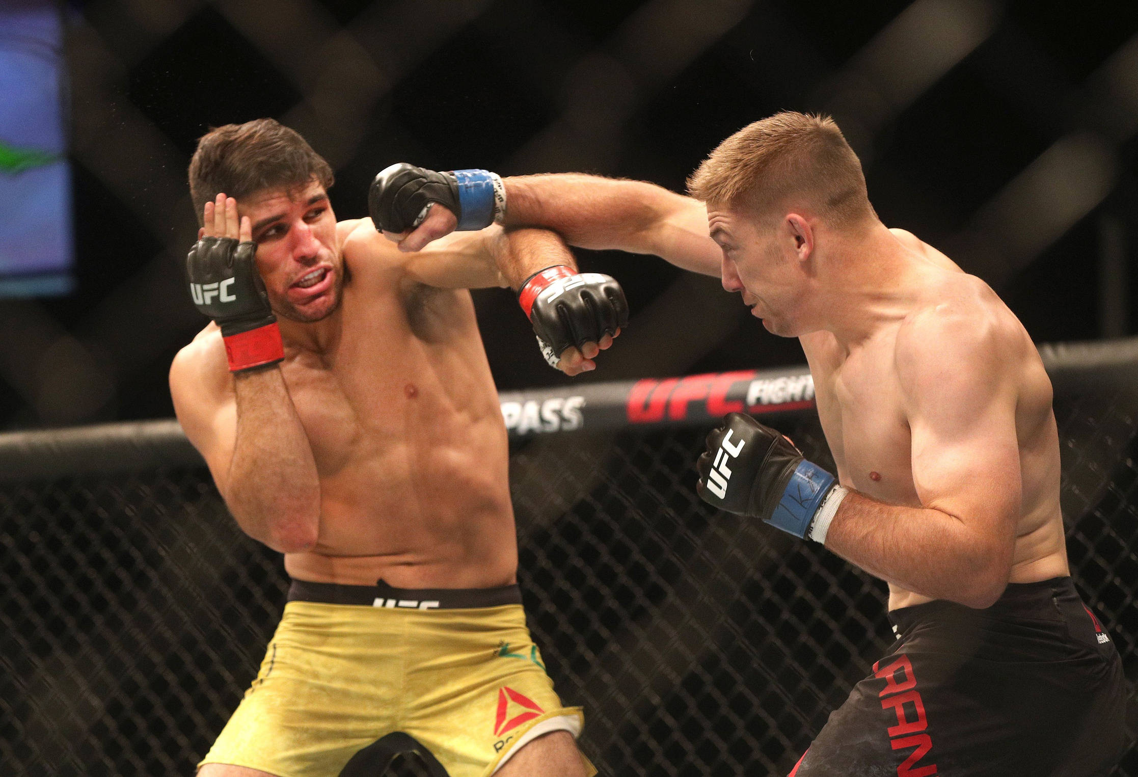 Vicente Luque, MMA fighters, cage match, Full HD Desktop Wallpaper