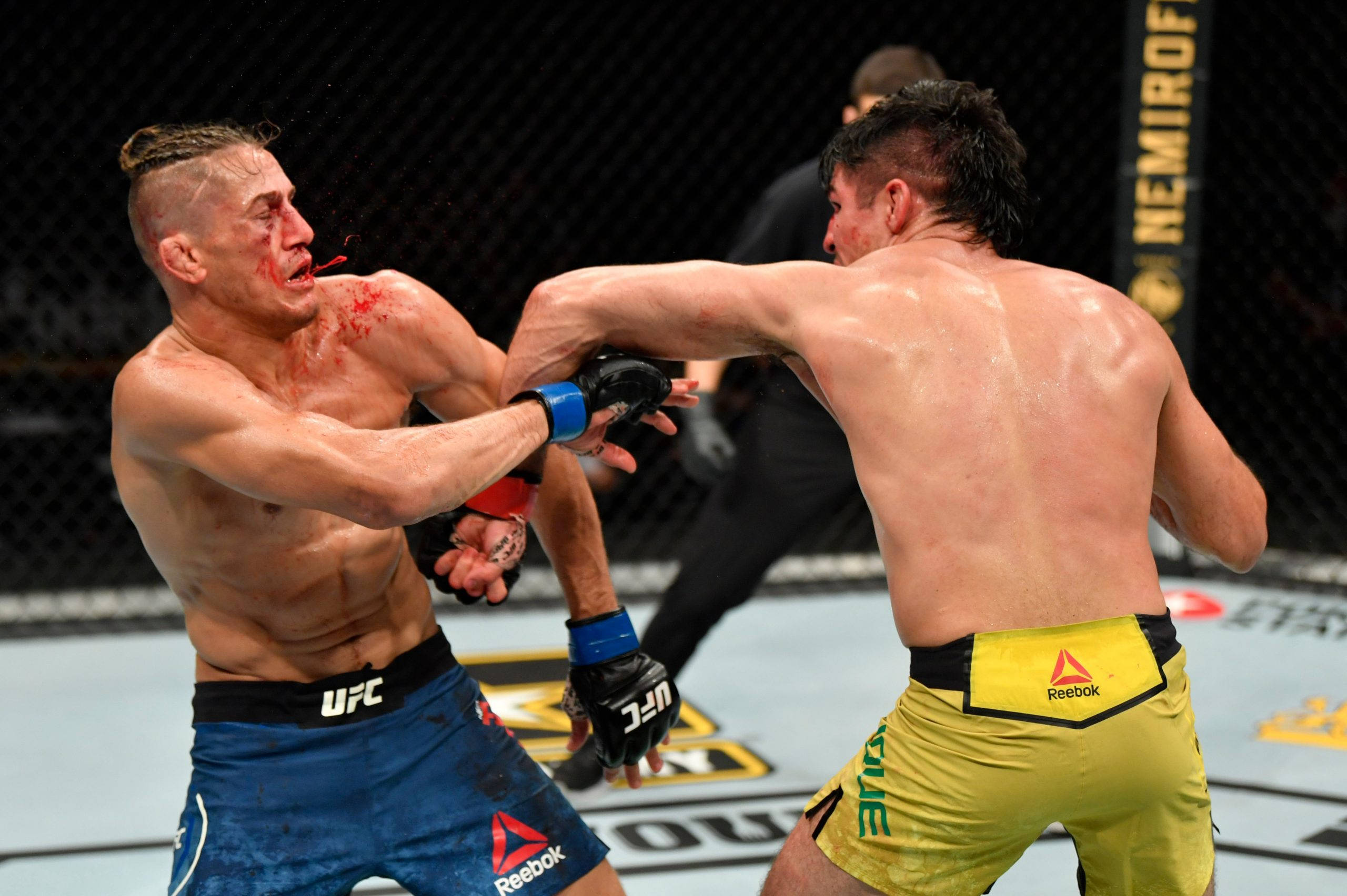 Vicente Luque, MMA fighters, cage match, 2K Desktop Wallpaper