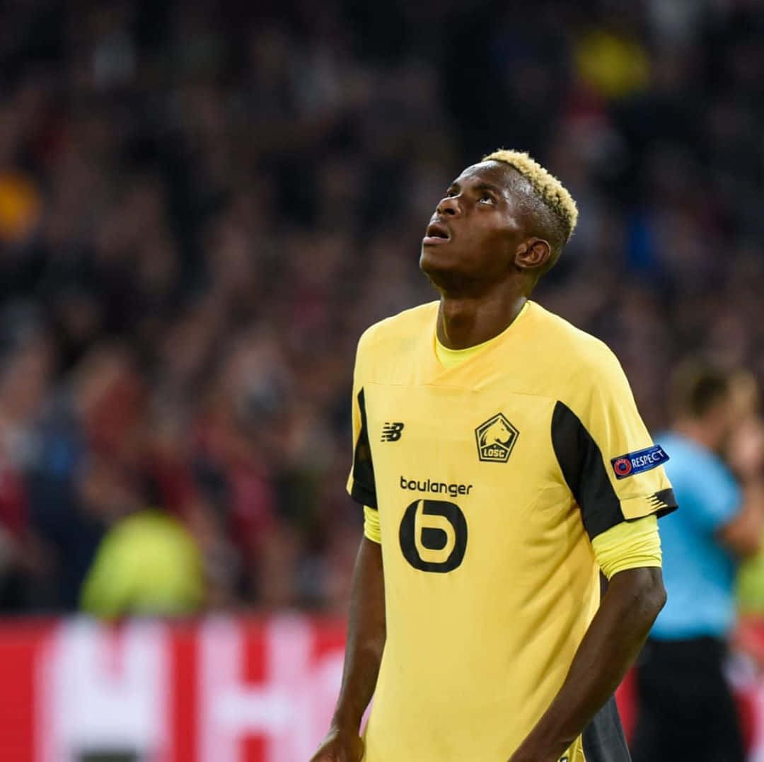 Victor Osimhen, yellow jersey, stadium lights, SD Desktop Wallpaper