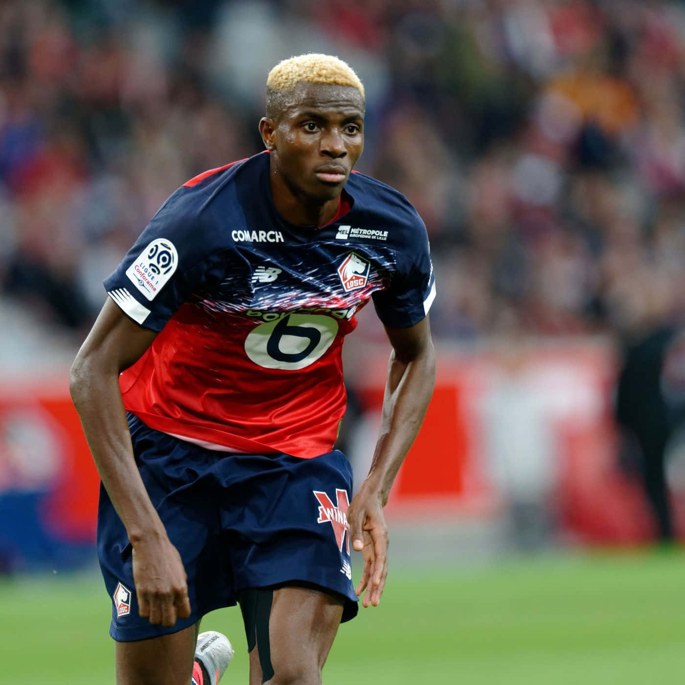 Victor Osimhen, red and blue jersey, green pitch, HD Desktop Wallpaper