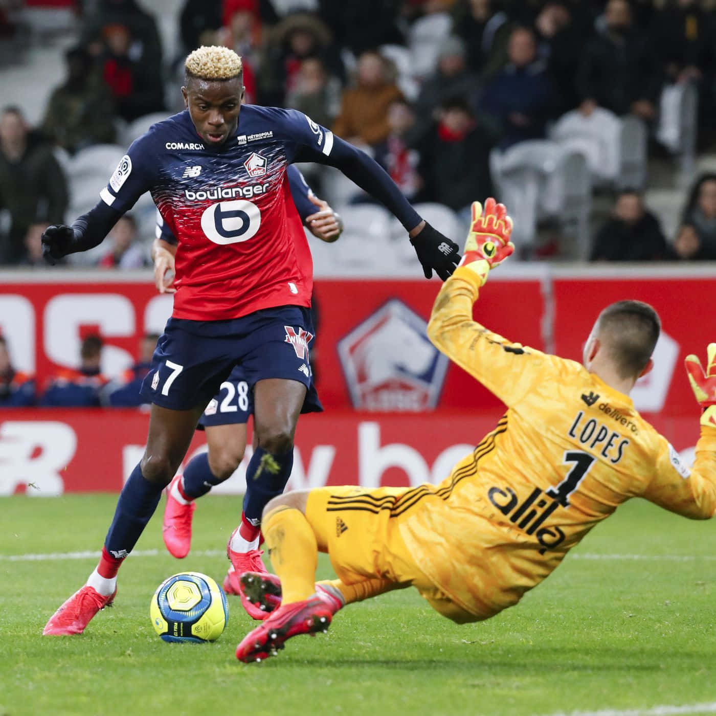 Victor Osimhen, red and blue jersey, diving goalkeeper in yellow, HD Desktop Wallpaper