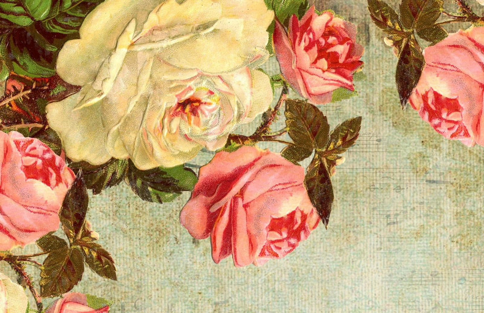 Victorian Rose, vintage floral, creamy white roses, HD Desktop Wallpaper