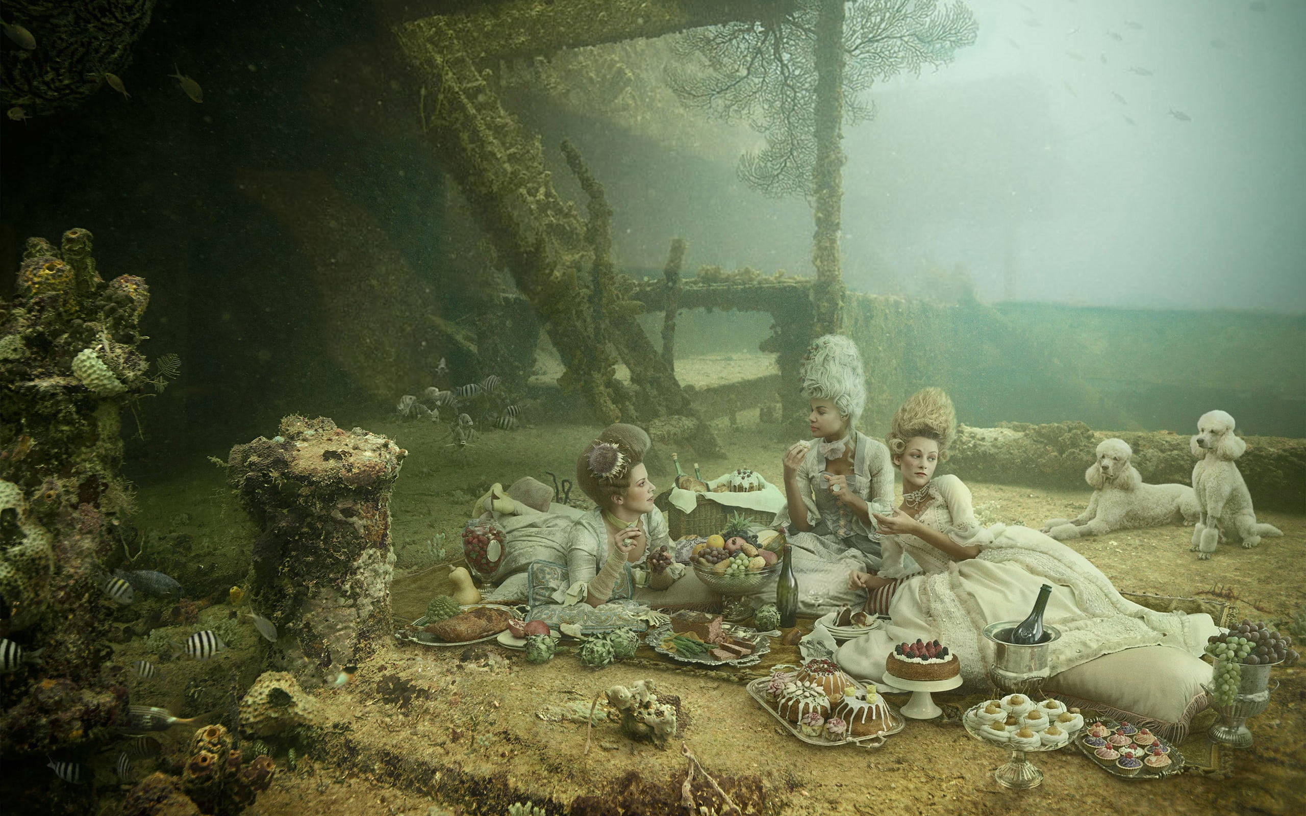 Victorian, underwater garden, picnic, 2K Desktop Wallpaper