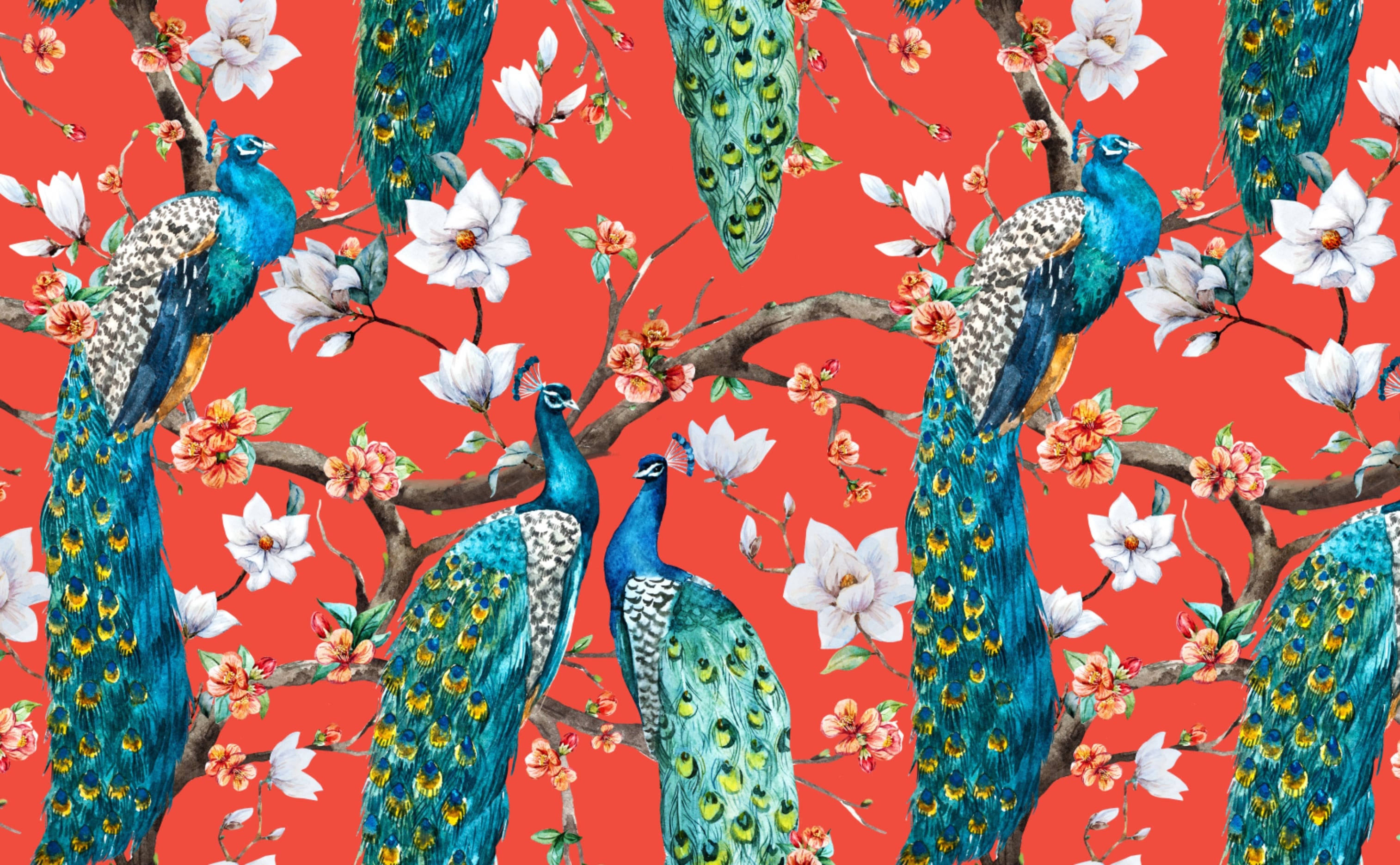 Victorian, watercolor, peacock pattern, 2K Desktop Wallpaper