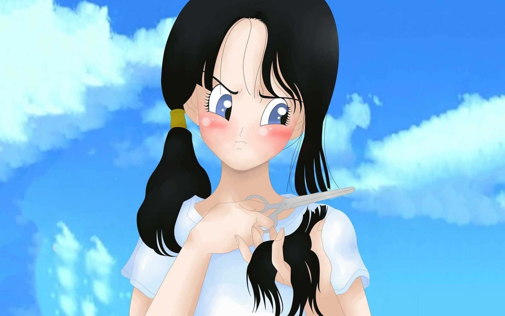 Videl, black pigtails, blue eyes, HD Desktop Wallpaper