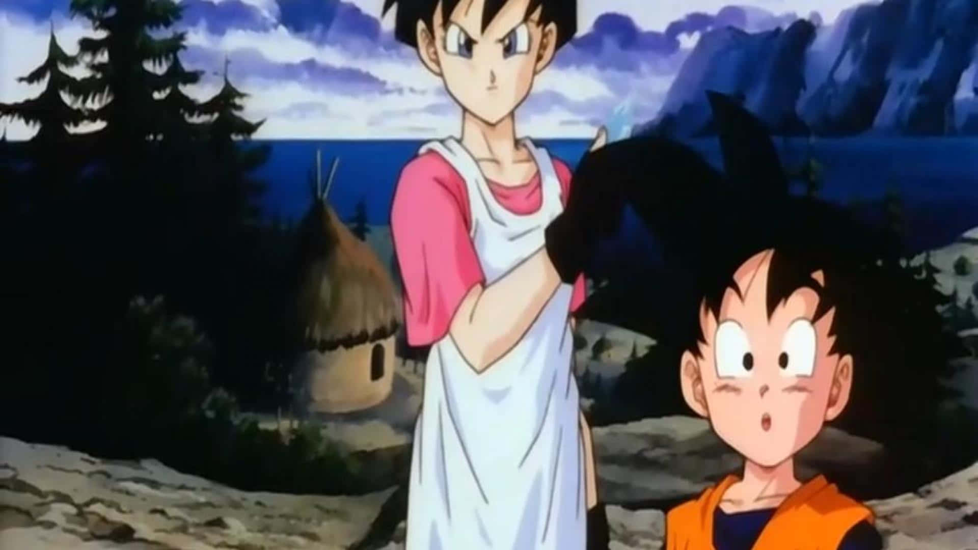 Videl, 1920 x 1080, black & white, Full HD Desktop Wallpaper
