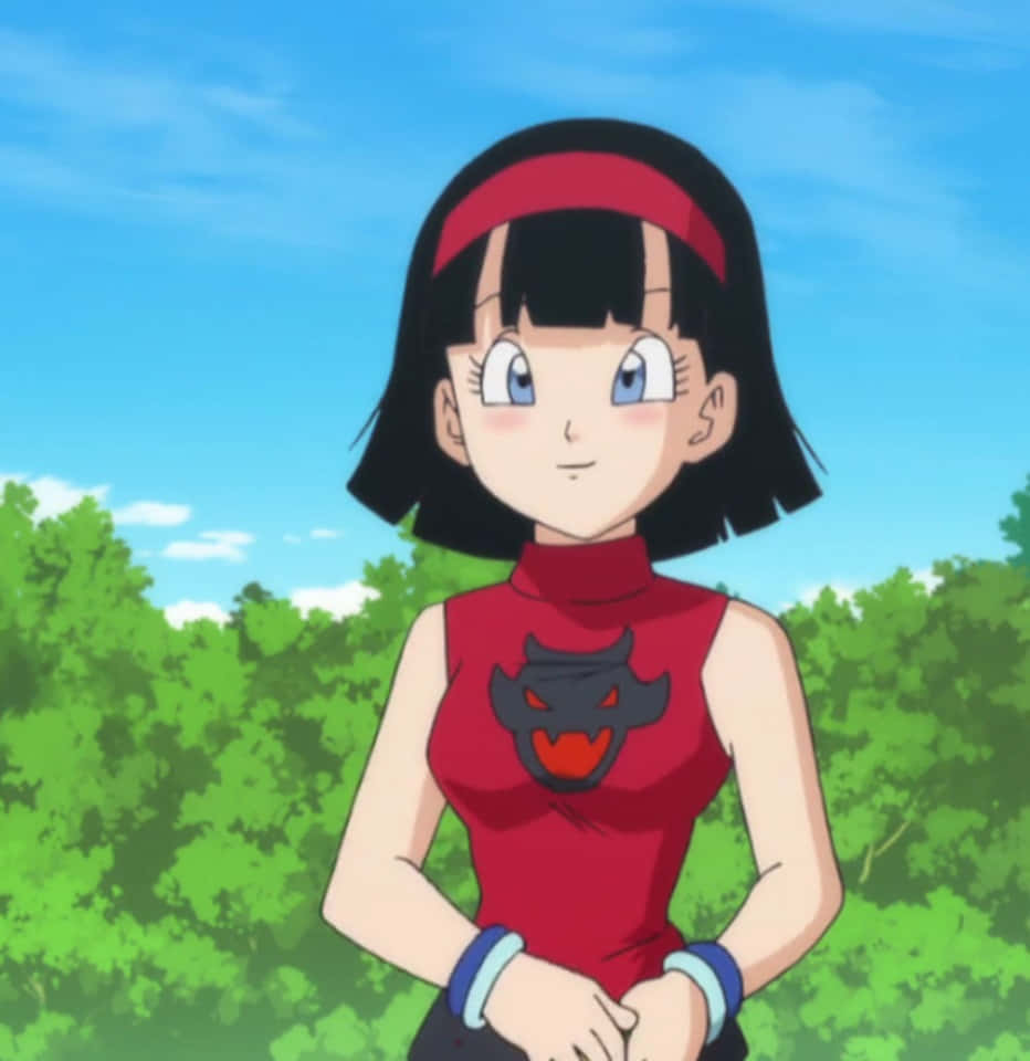 Videl, 932 x 960, black bob hair, SD Phone Wallpaper