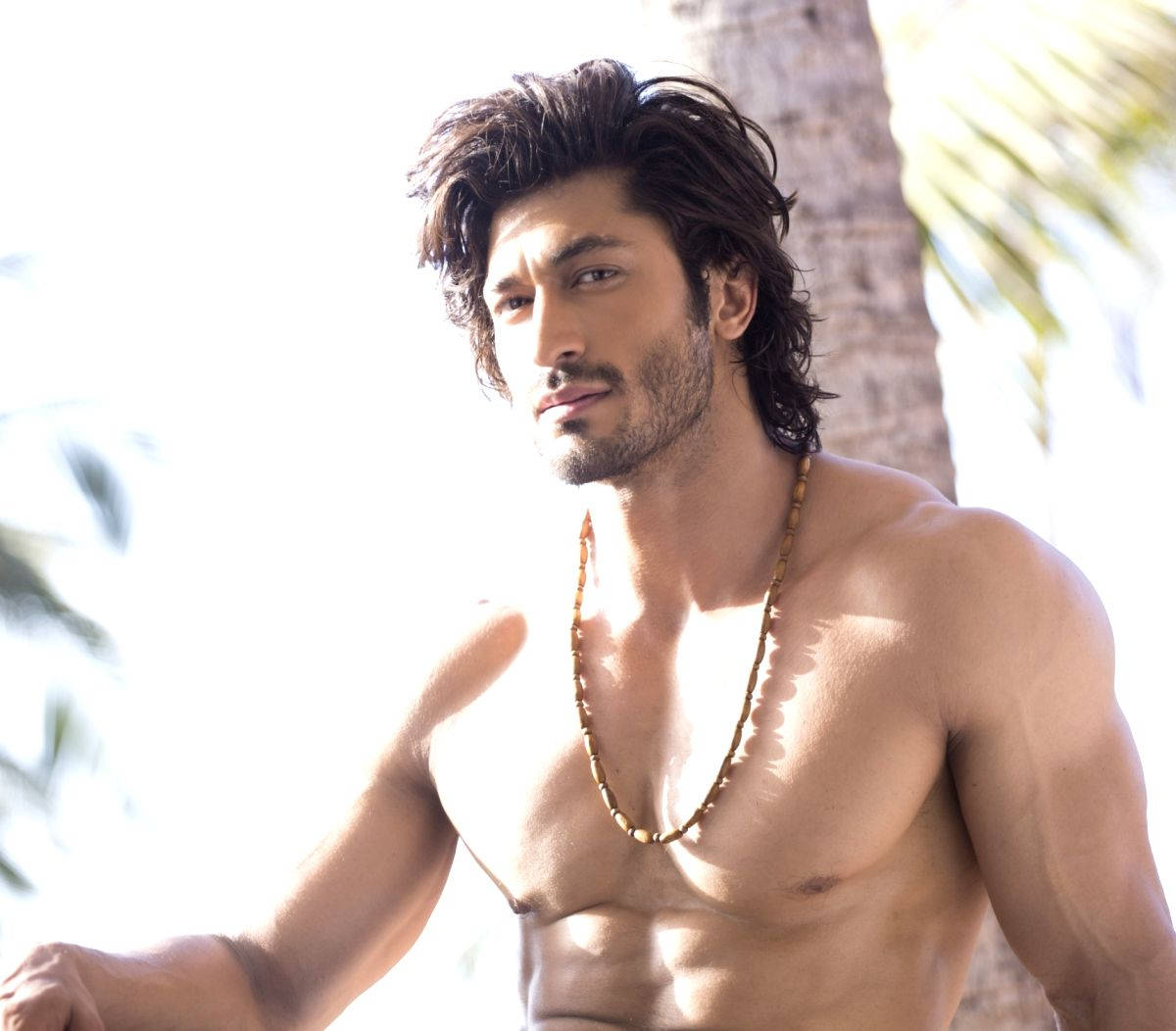 Vidyut Jamwal, shirtless, bright sunlight, SD Desktop Wallpaper
