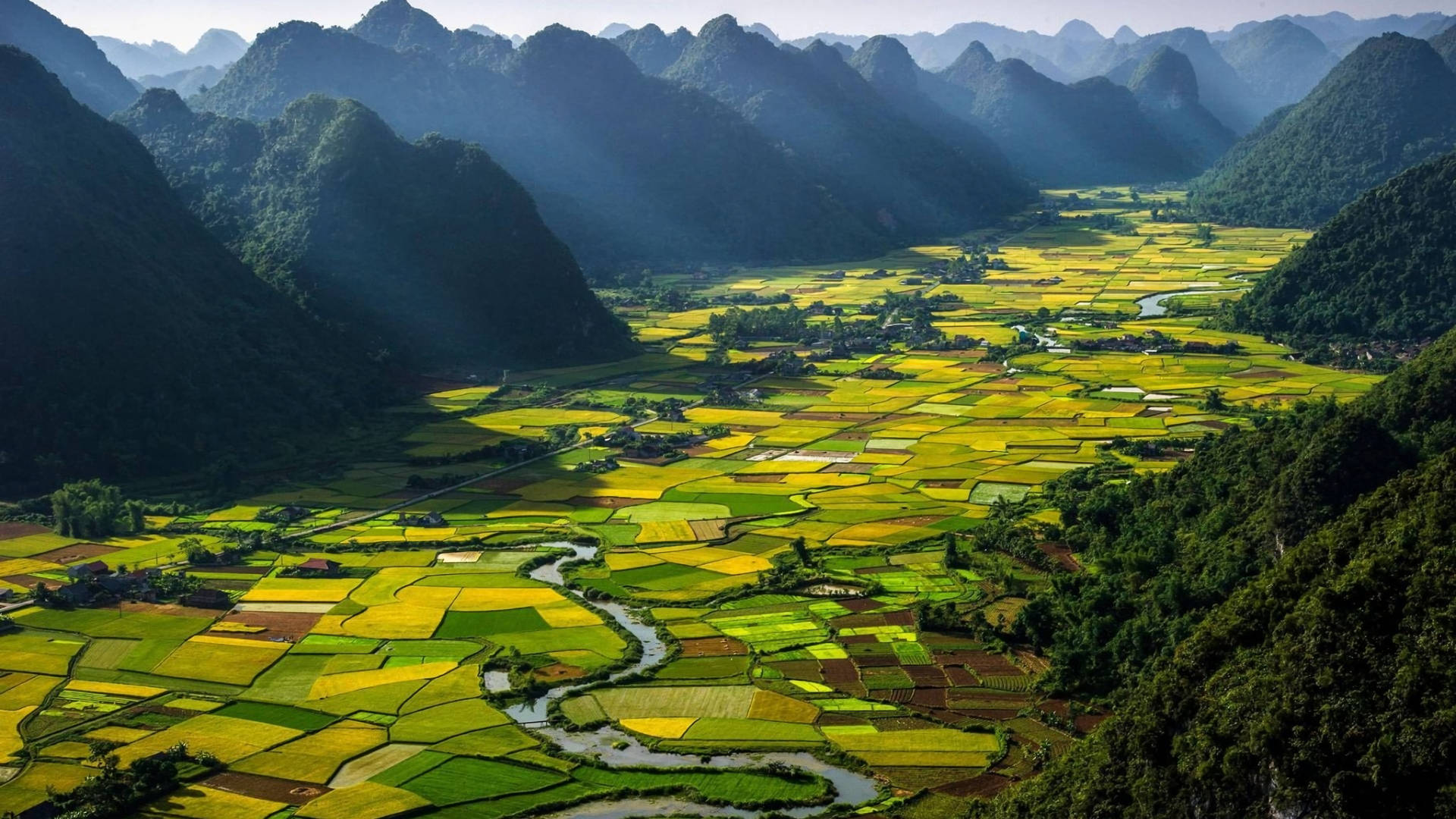 Vietnam, valley, golden rice paddies, Full HD Desktop Wallpaper