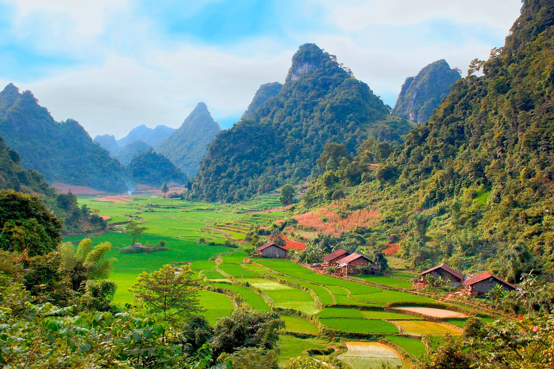 Vietnam, terraced rice fields, valley, Full HD Desktop Wallpaper
