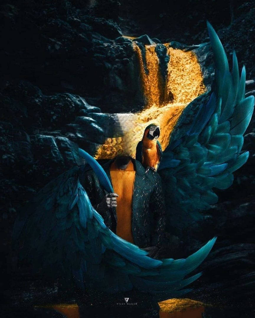 Vijay Mahar, blue macaw, glowing wings, SD Phone Wallpaper