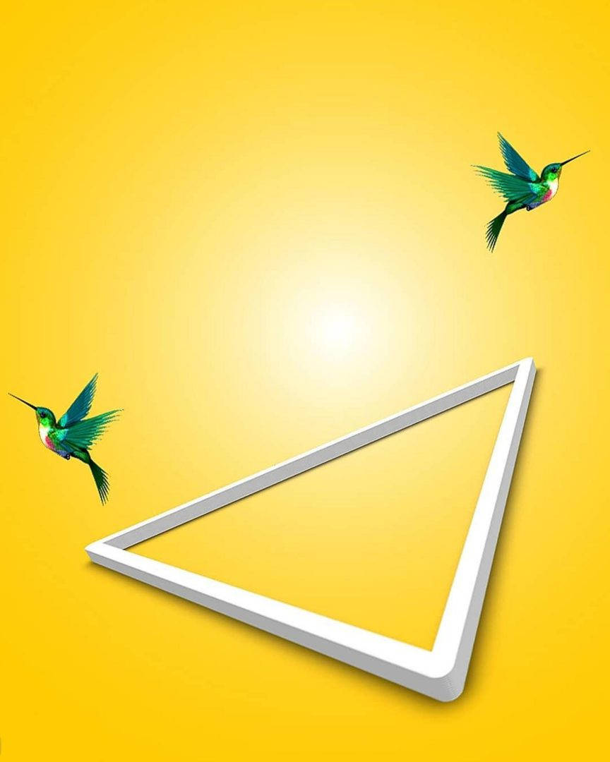 Vijay Mahar, white triangle, two birds, SD Phone Wallpaper