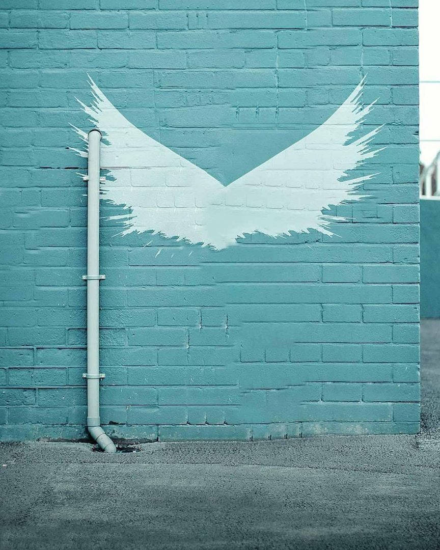 Vijay Mahar, teal brick wall, white wings, SD Phone Wallpaper