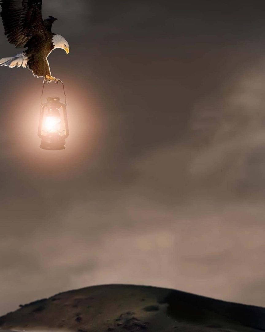 Vijay Mahar, flying eagle, glowing lantern, SD Phone Wallpaper