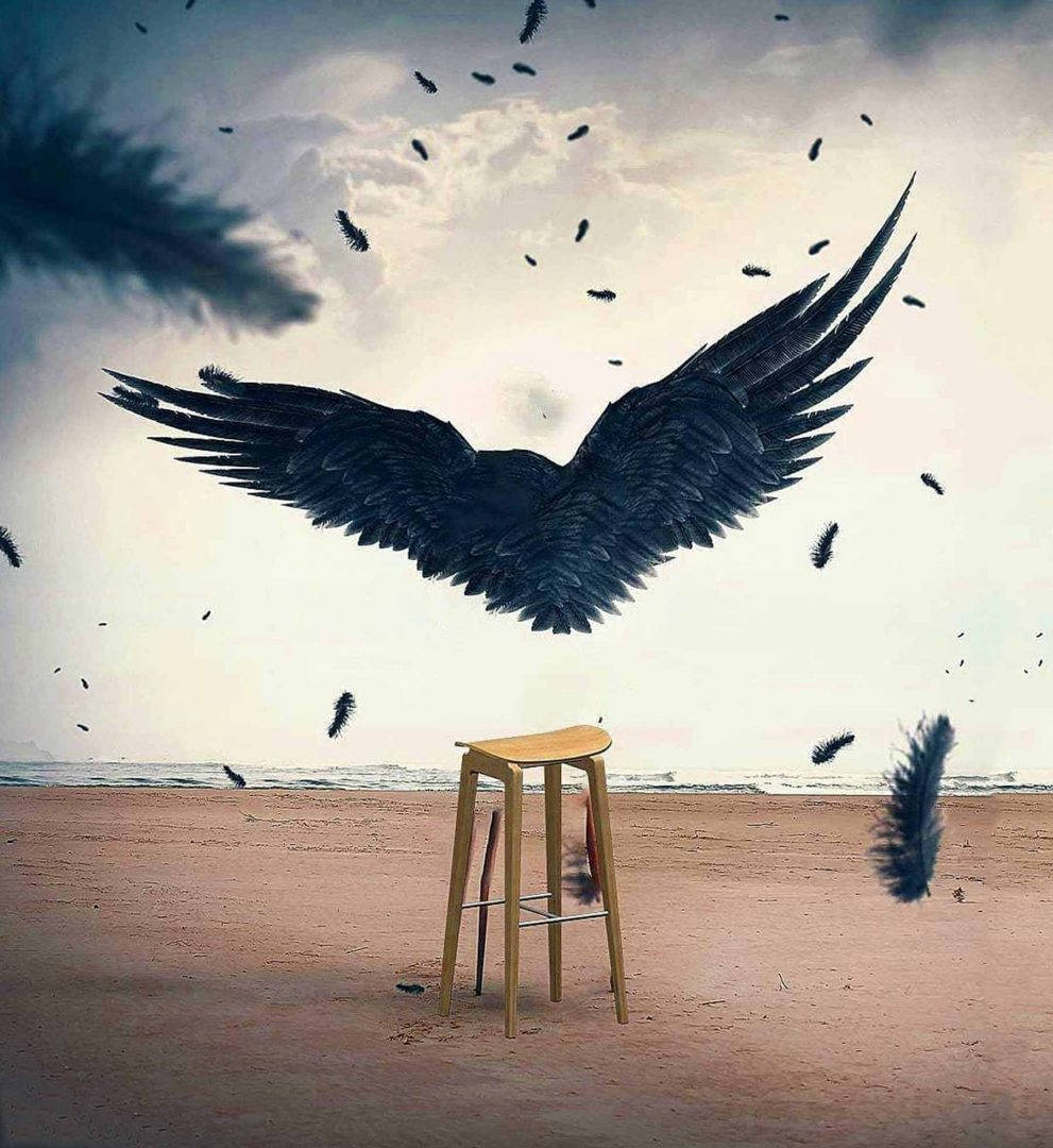 Vijay Mahar, black winged creature, feathers, SD Phone Wallpaper