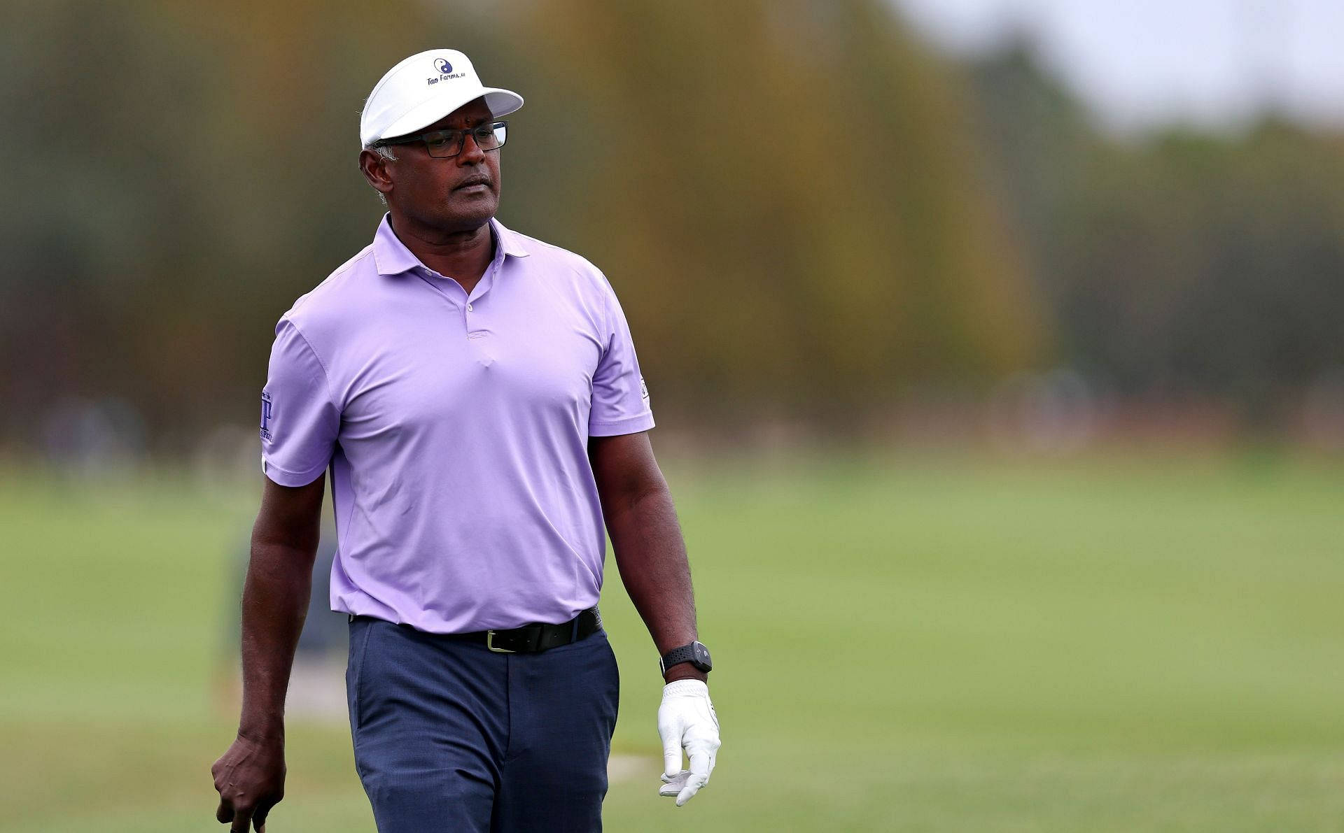 Vijay Singh, lavender polo, white cap, Full HD Desktop Wallpaper