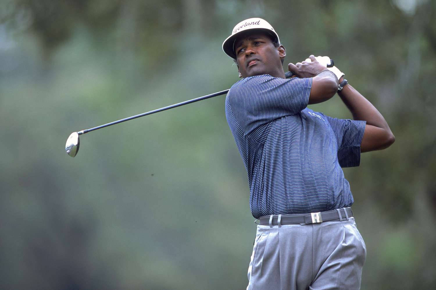 Vijay Singh, golfer, lush green course, HD Desktop Wallpaper