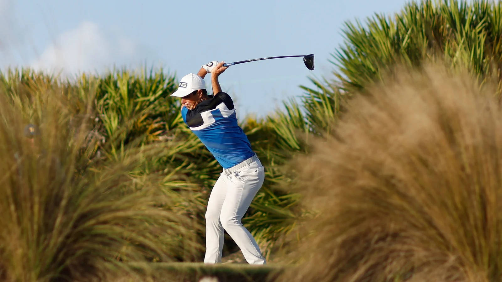 Viktor Hovland, blue and white, tall grass, HD Desktop Wallpaper