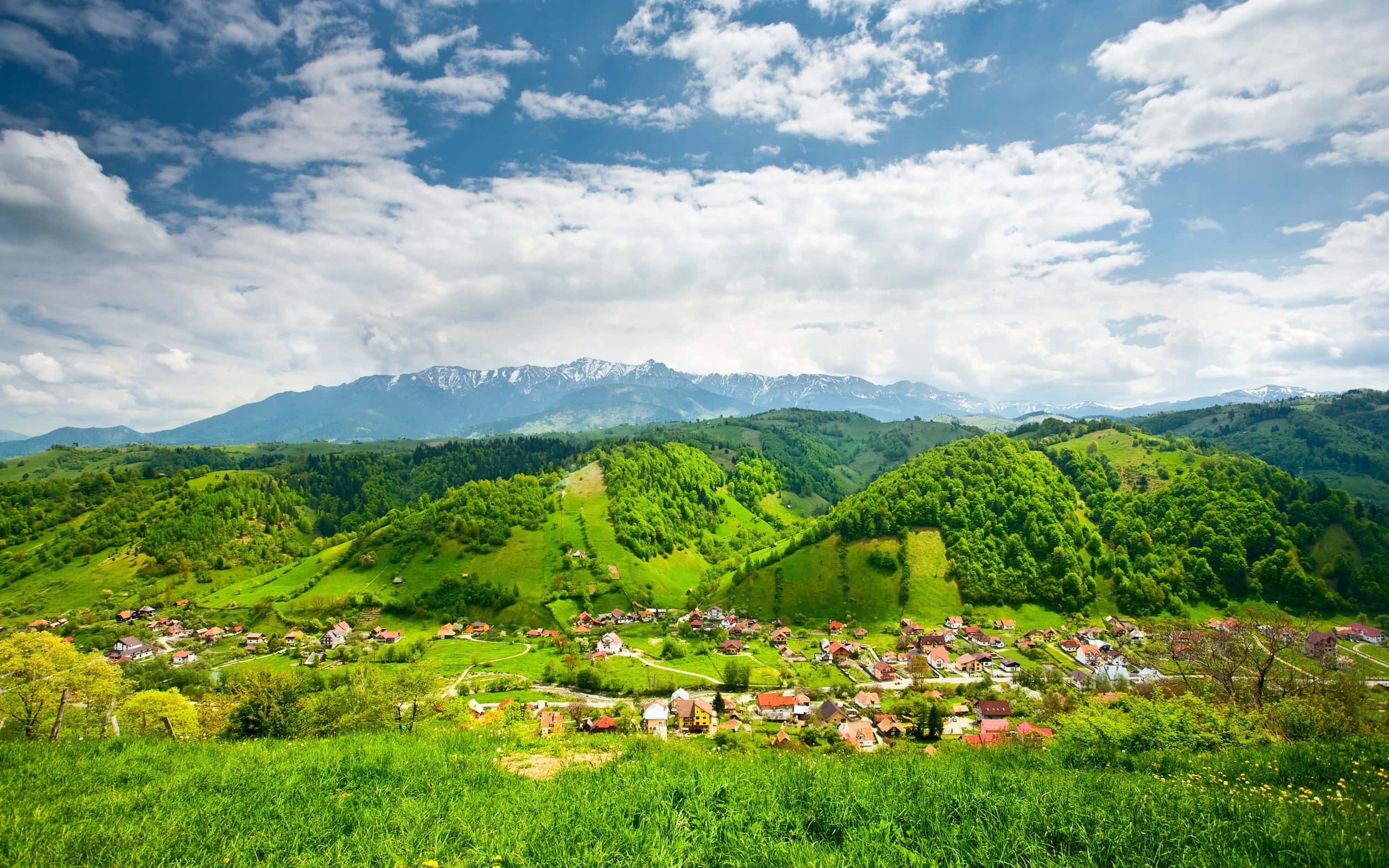 vibrant green valley, rolling hills, snow-capped mountains, 2K Desktop Wallpaper