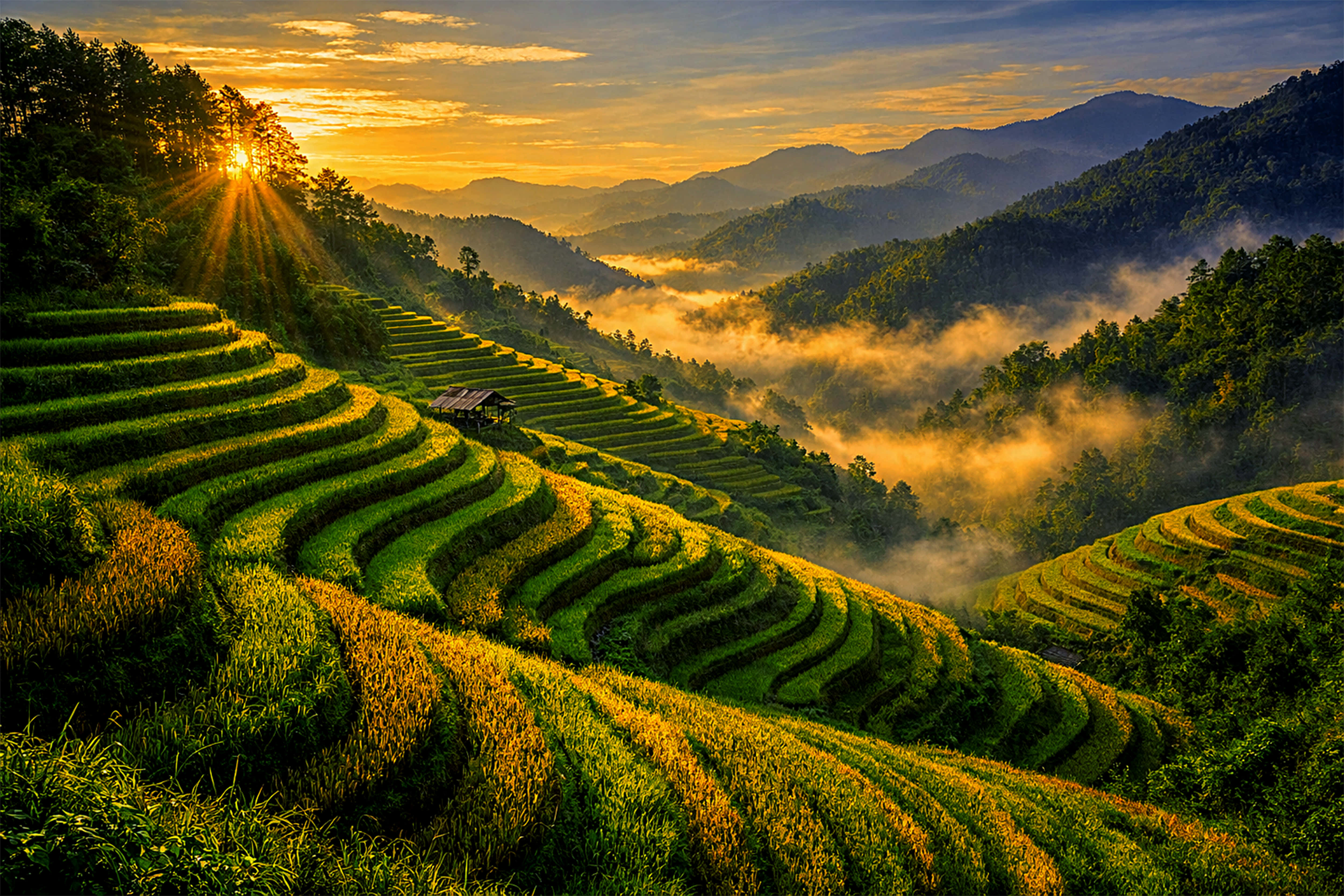 twilight, rice field hills, golden mist, 4K Desktop Wallpaper