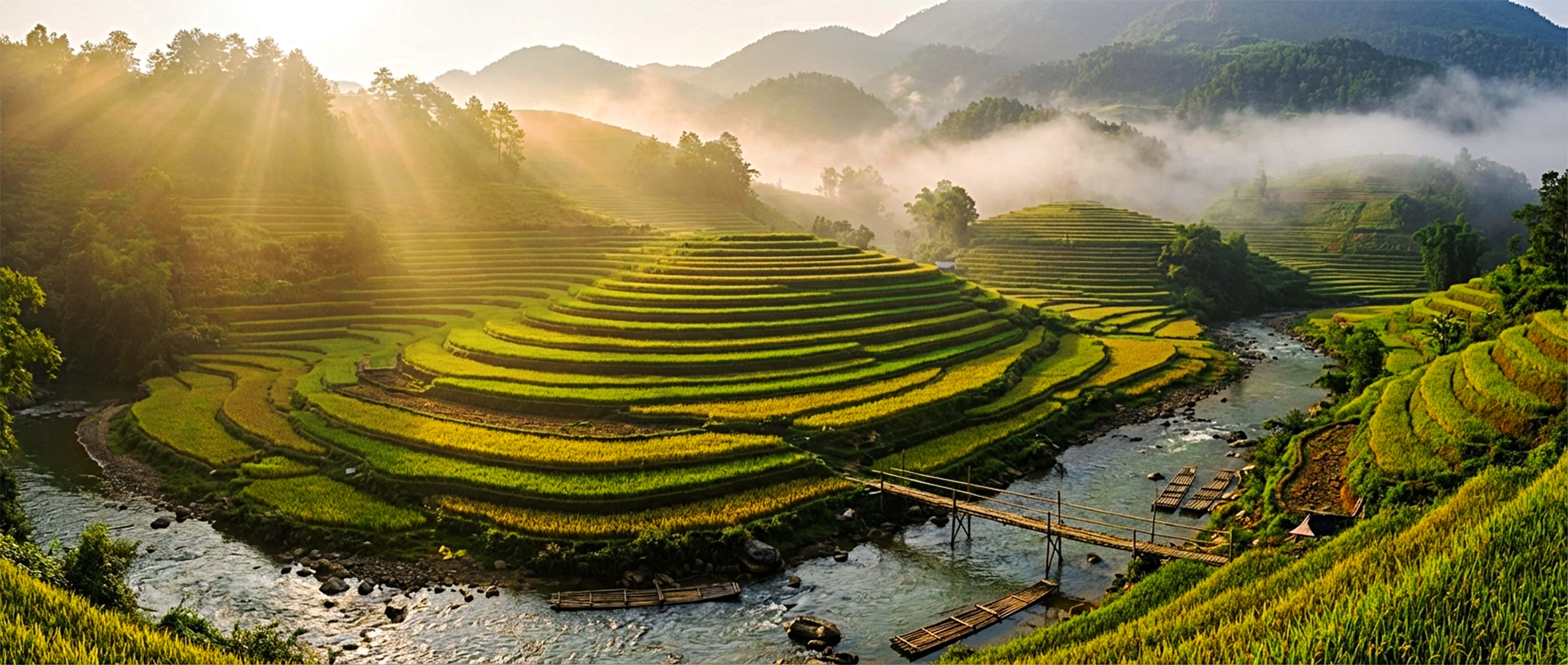 Golden sunrise, mist, emerald terraced rice fields, 4K Desktop Wallpaper