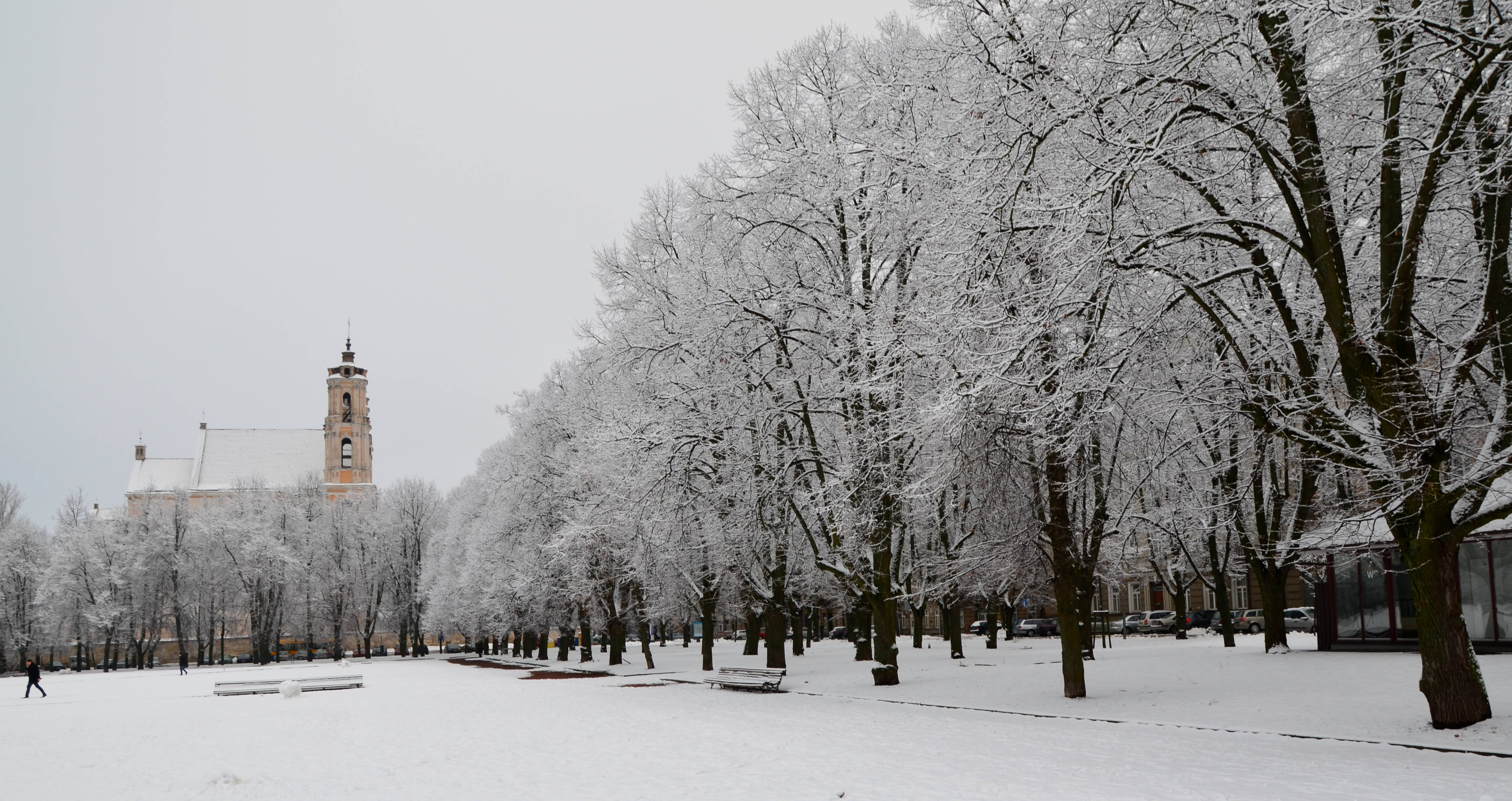 Vilnius, winter, snow, 4K Desktop Wallpaper