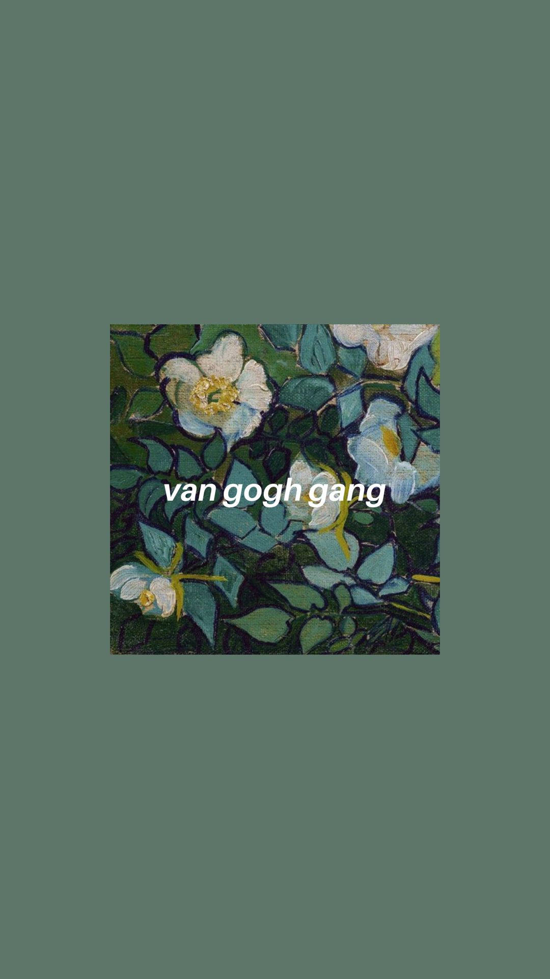 Vincent Van Gogh, white flowers, yellow centers, Full HD Phone Wallpaper