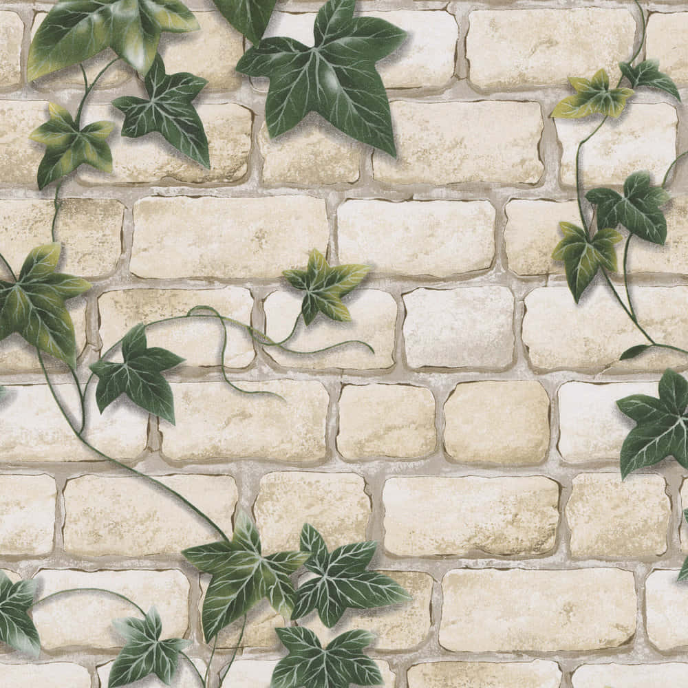 ivy vines, stone wall, textured beige stone brick wall, SD Desktop Wallpaper