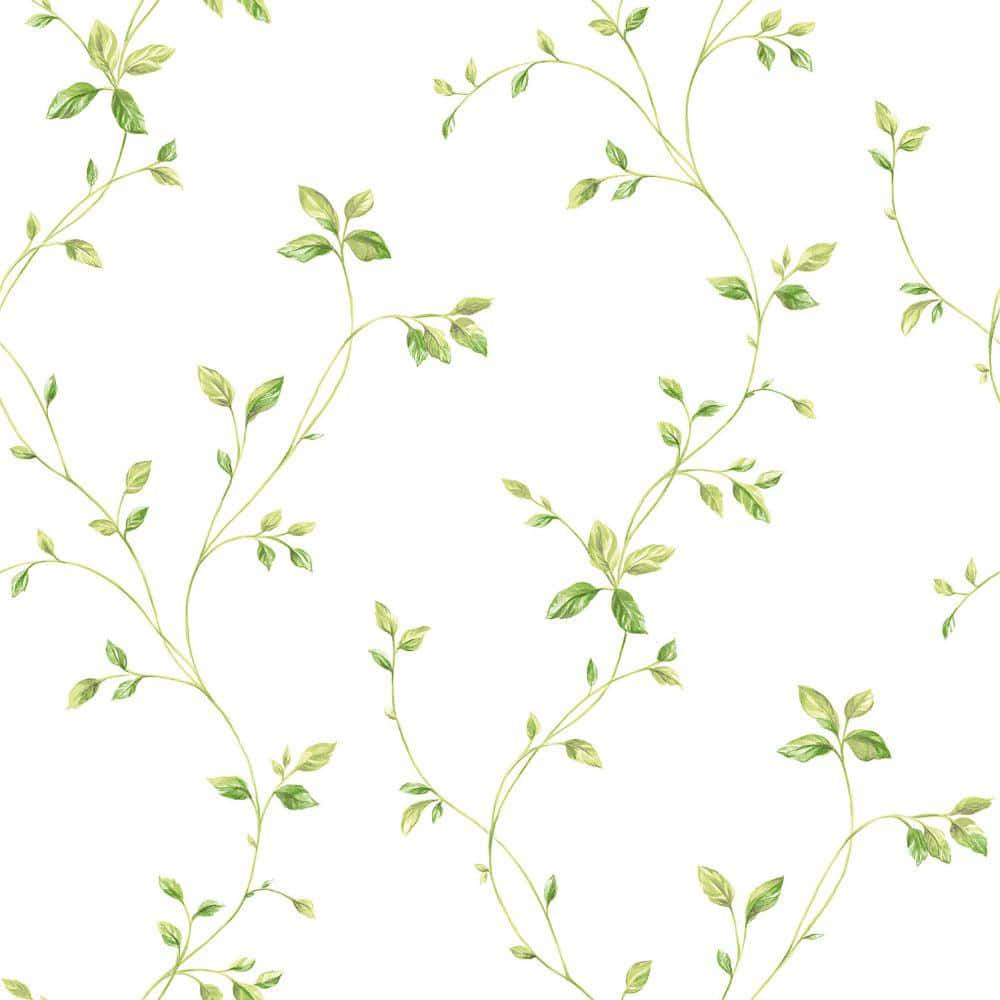 green vine pattern, crisp white background, repeating pattern, SD Desktop Wallpaper