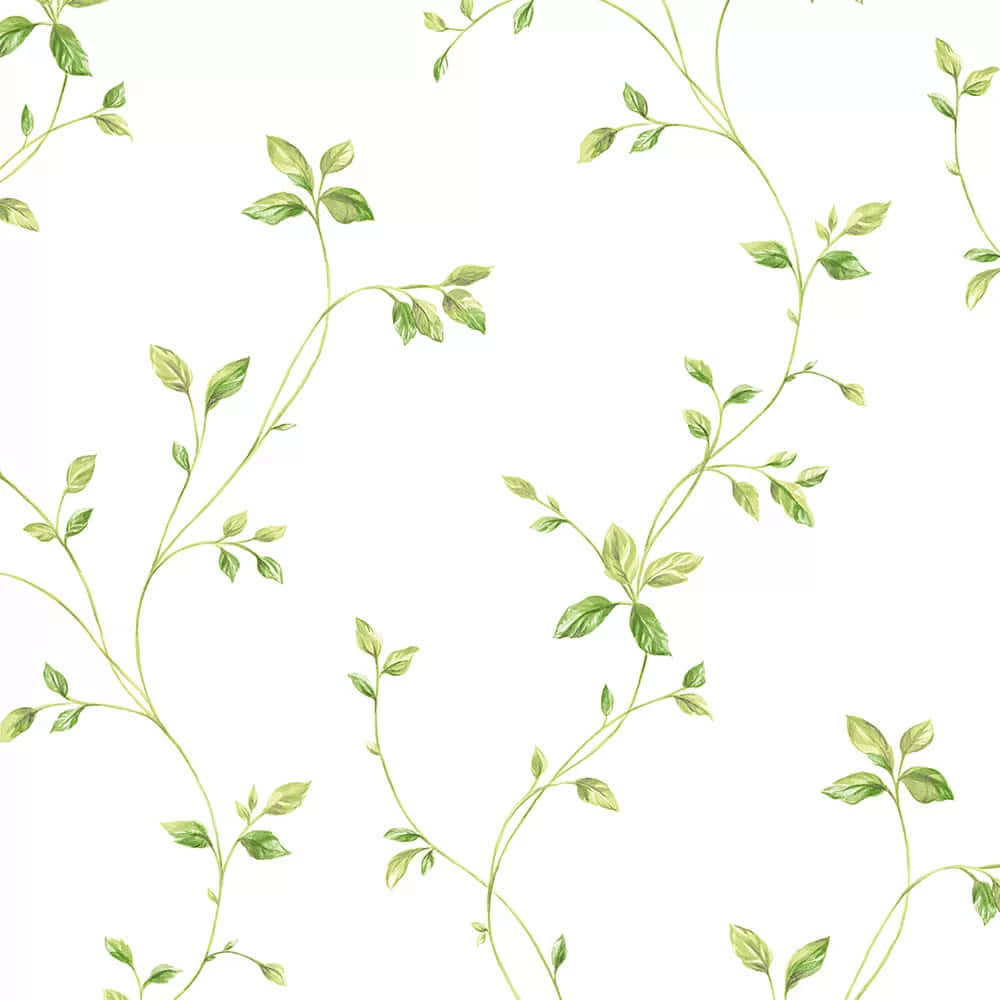 green vine pattern, crisp white background, repeating pattern, SD Desktop Wallpaper