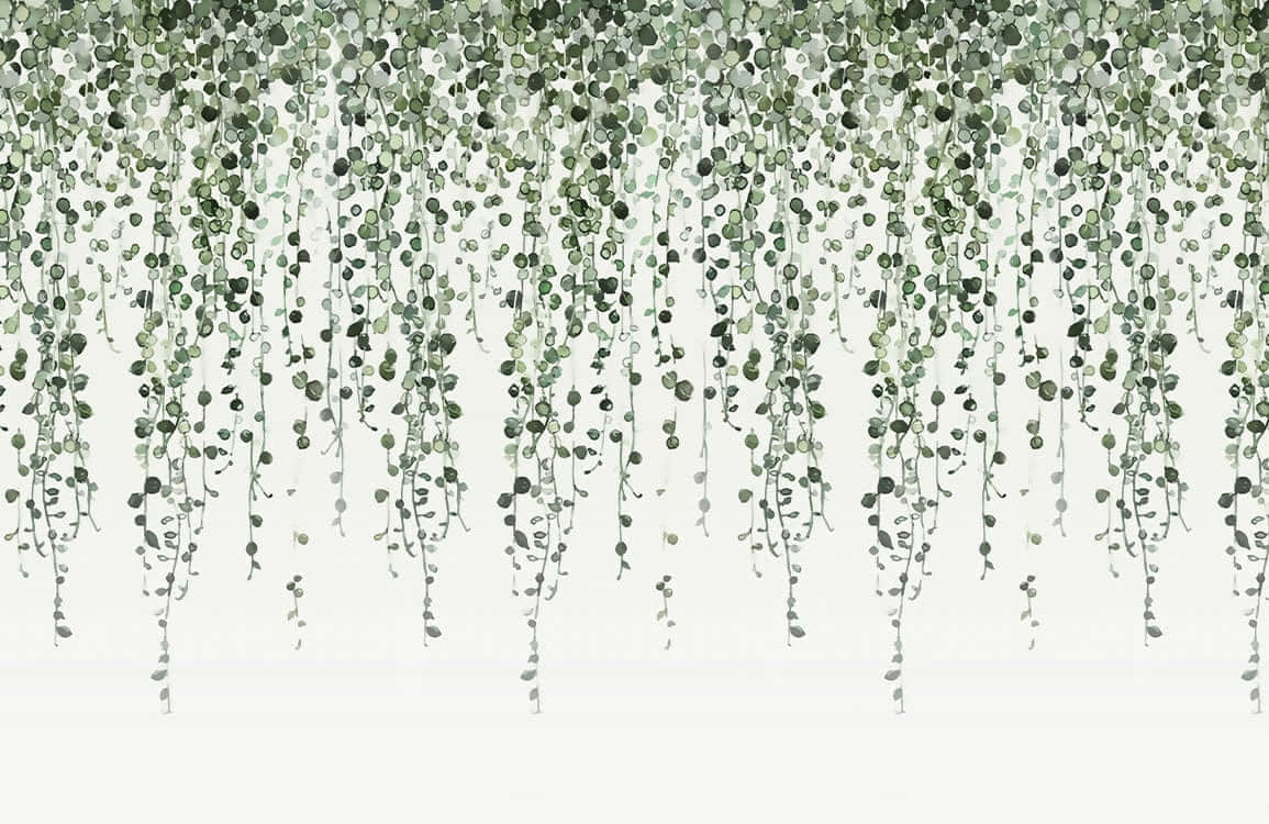 hanging green vines, watercolor illustration, cascading string of pearls succulents, SD Desktop Wallpaper