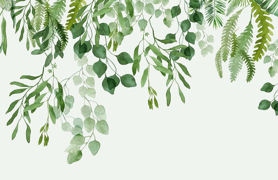 hanging green vines, watercolor illustration, cascading eucalyptus, SD Desktop Wallpaper