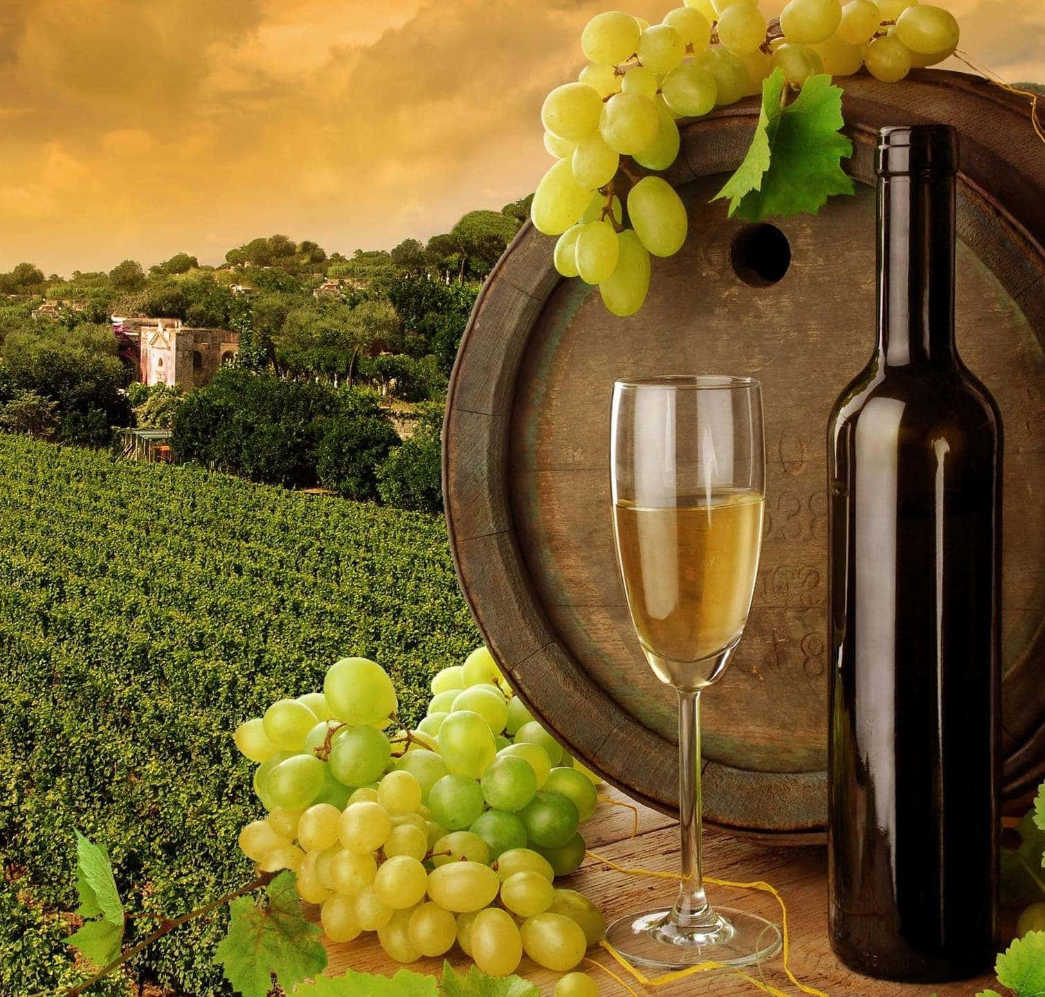 white wine, vineyard, golden sunset, HD Desktop Wallpaper