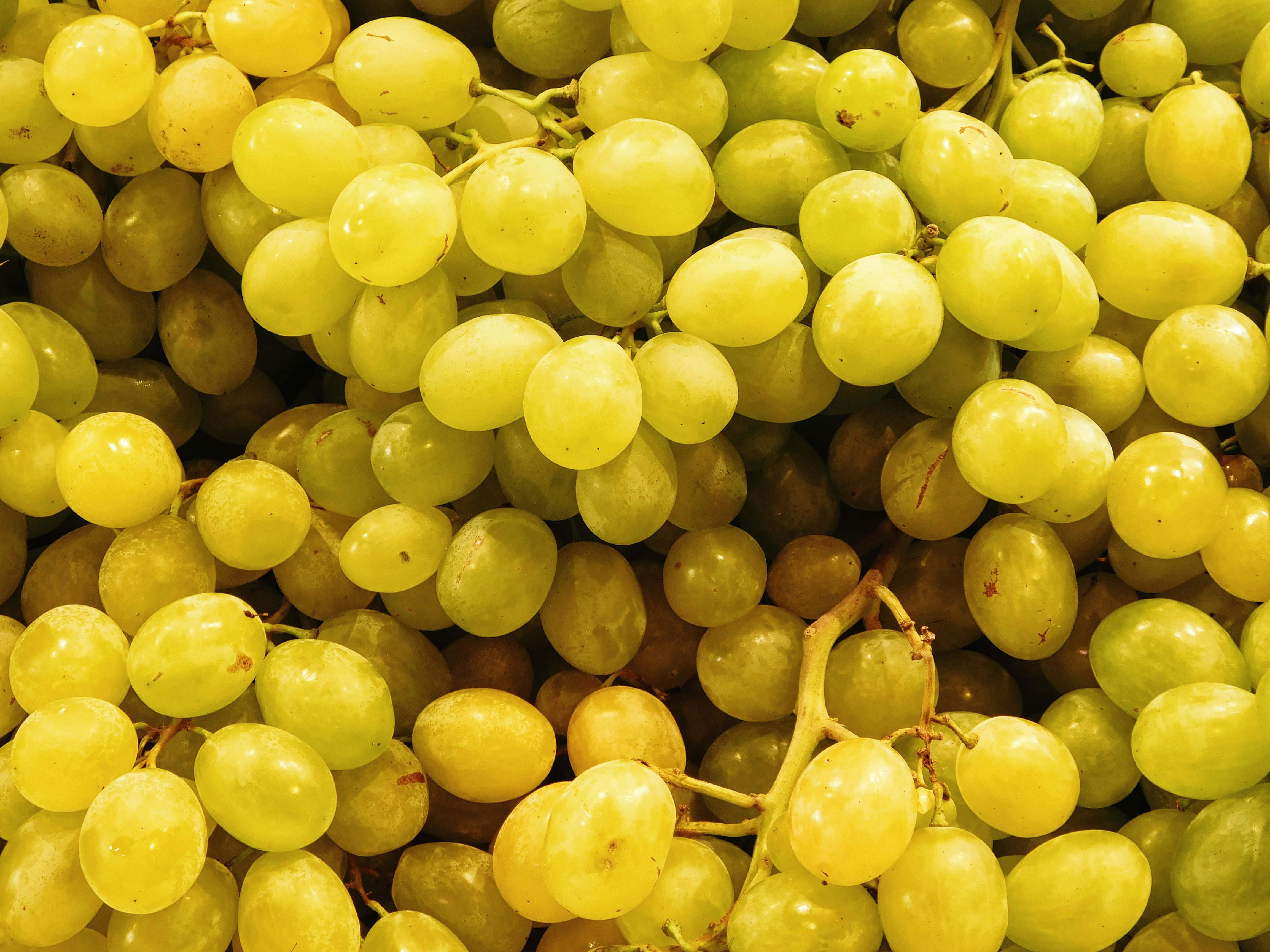 grape, green grapes, stems, 4K Desktop Wallpaper