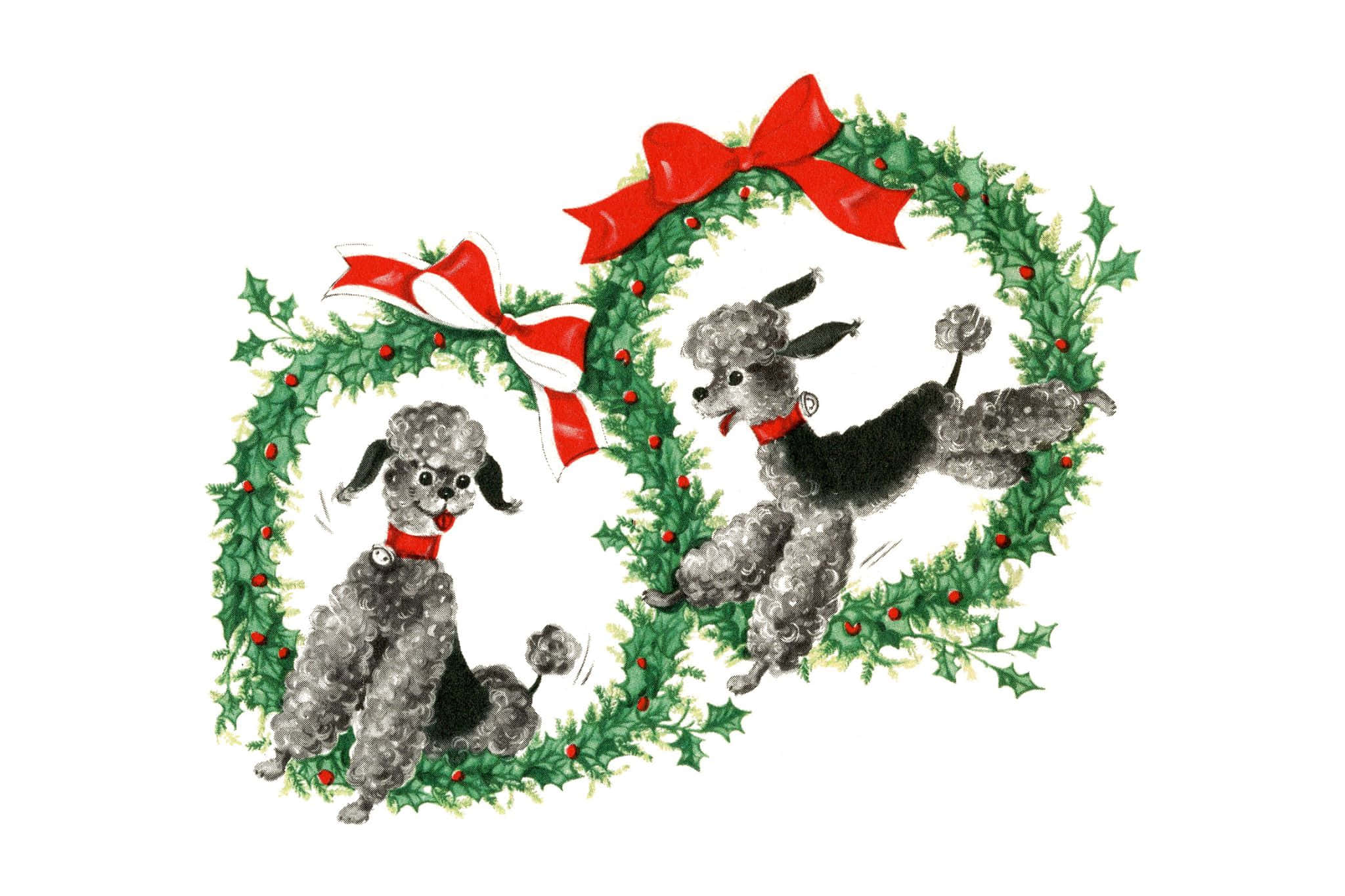 Vintage 50's Christmas, poodles, holly wreath, Full HD Desktop Wallpaper
