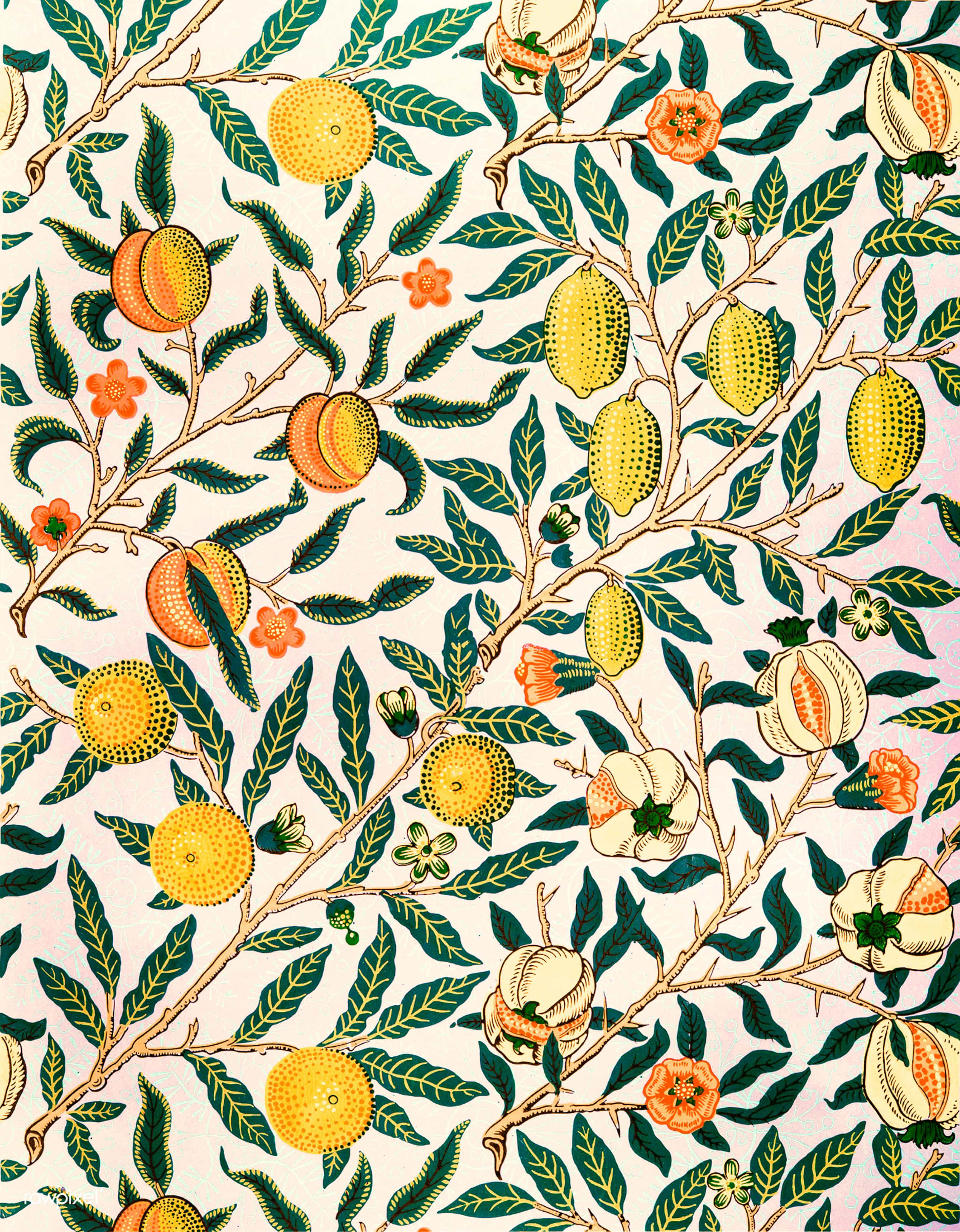 Vintage 60s, pomegranate fruits, leaves, 2K Phone Wallpaper