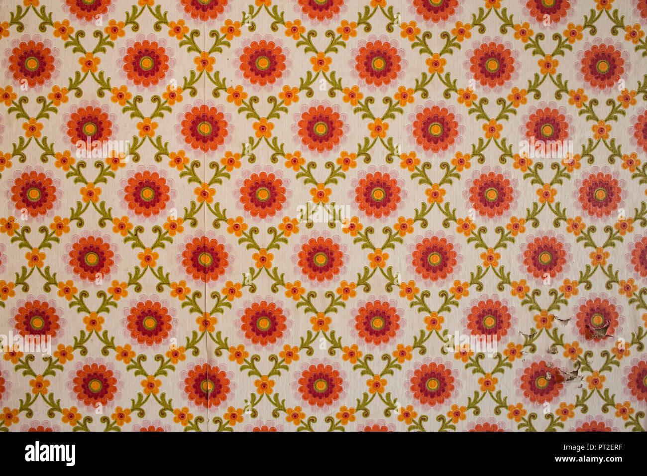 Vintage 70s, retro floral, orange, HD Desktop Wallpaper