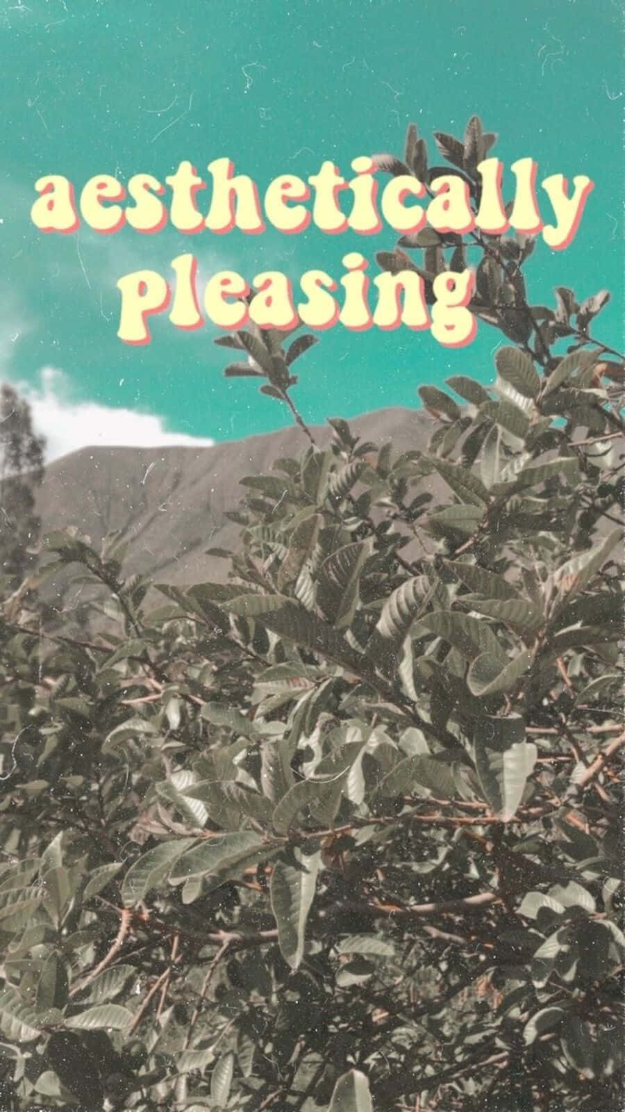 vintage aesthetic plant, teal sky, lush green foliage, HD Phone Wallpaper