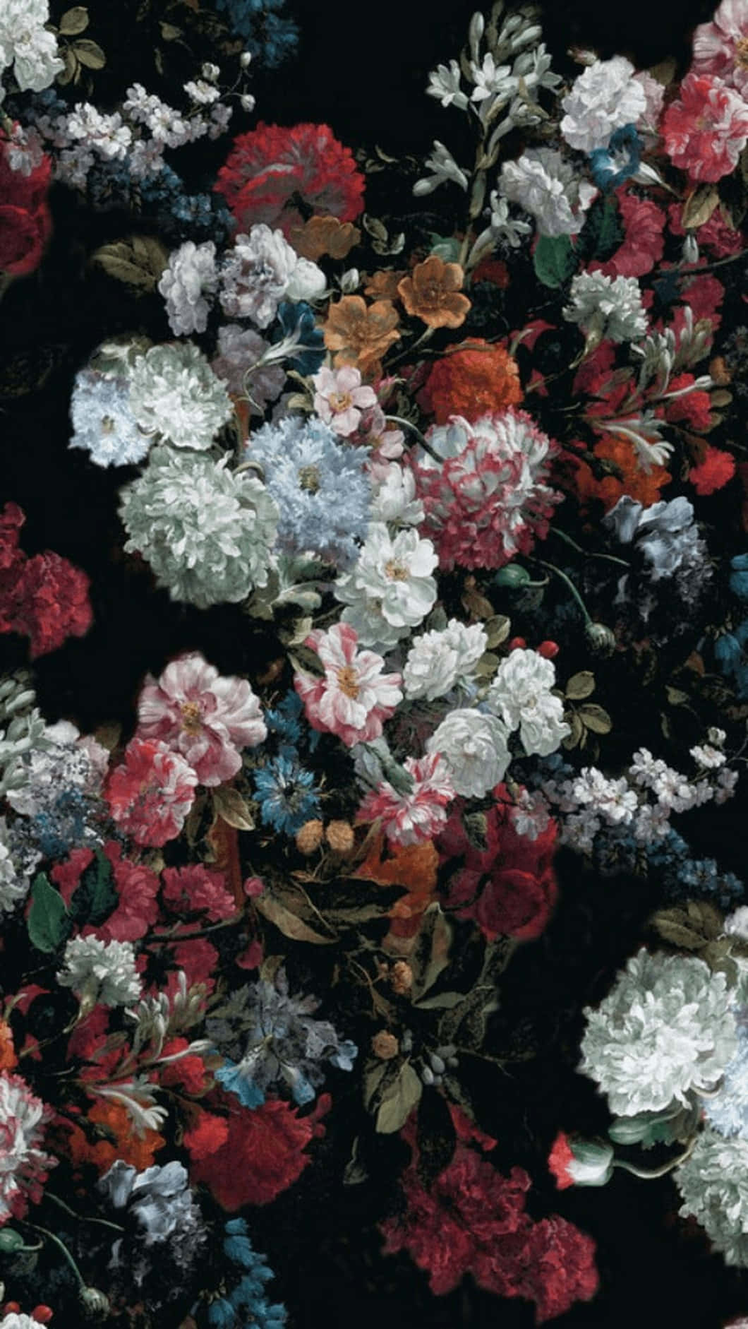 vintage aesthetic plant, red pink white and blue flowers, stark black background, HD Phone Wallpaper