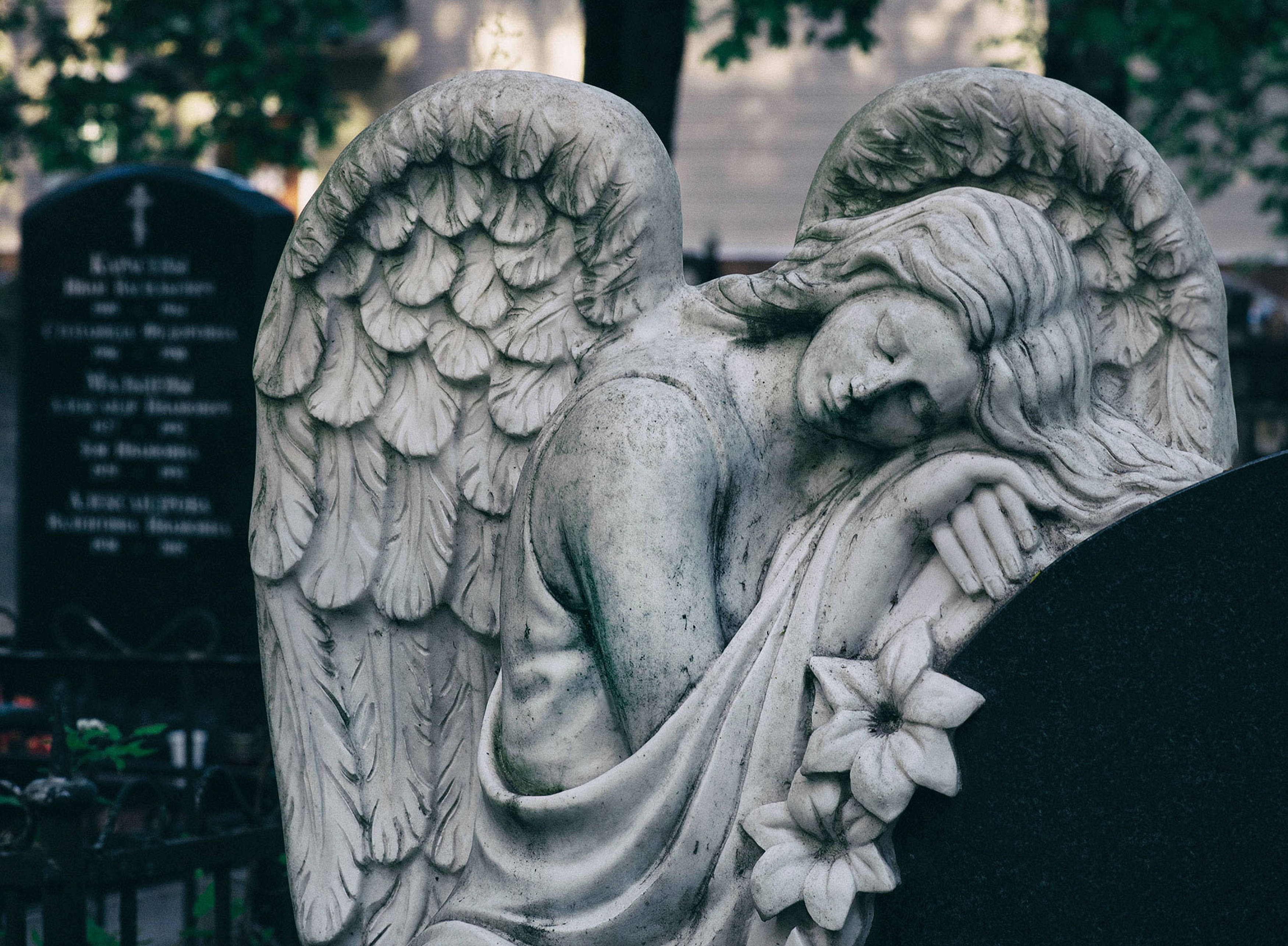 stone angel statue, feathered wings, tombstone, 2K Desktop Wallpaper