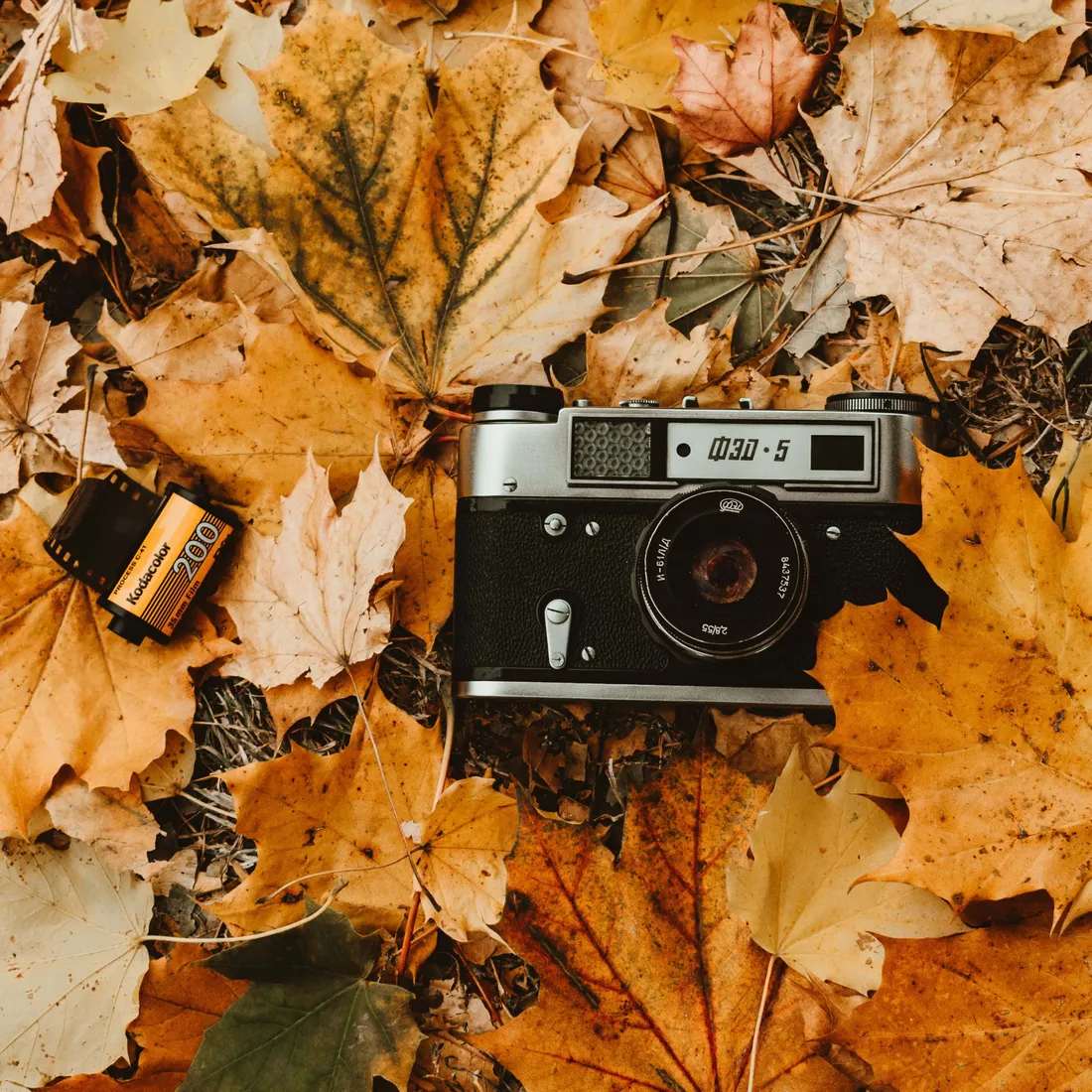 Vintage Autumn